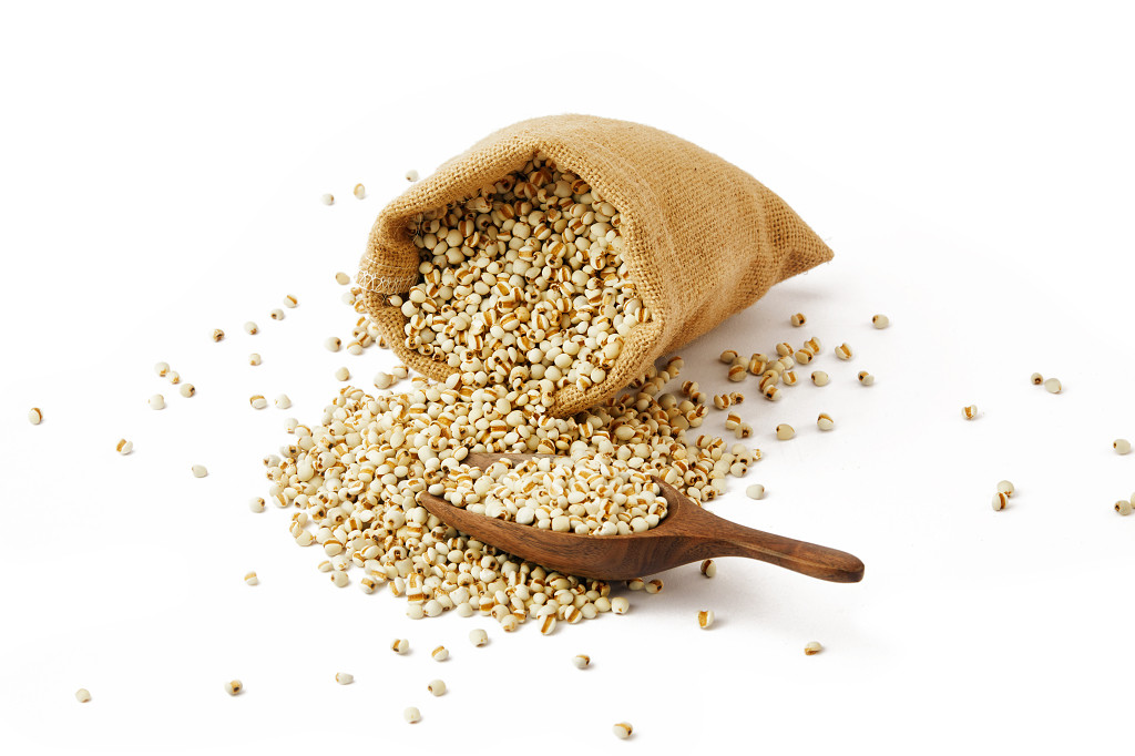 白底一袋薏米一勺薏米米粒粮食散落薏米散落米粒