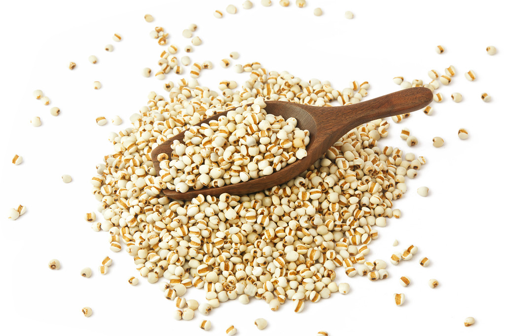 白底一勺米粒一勺薏米薏米米粒散落米粒木勺