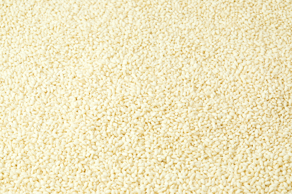 实拍圆糯米米粒平铺图圆糯米特写粮食谷物