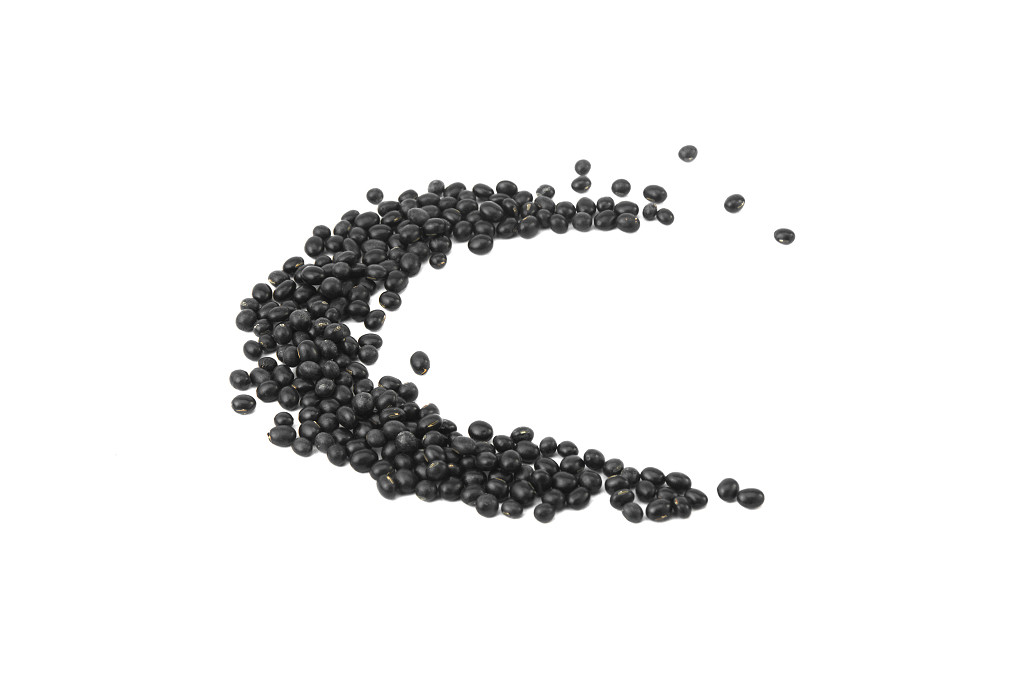 白底黑豆豆子弧形黑豆散落豆子散落黑豆