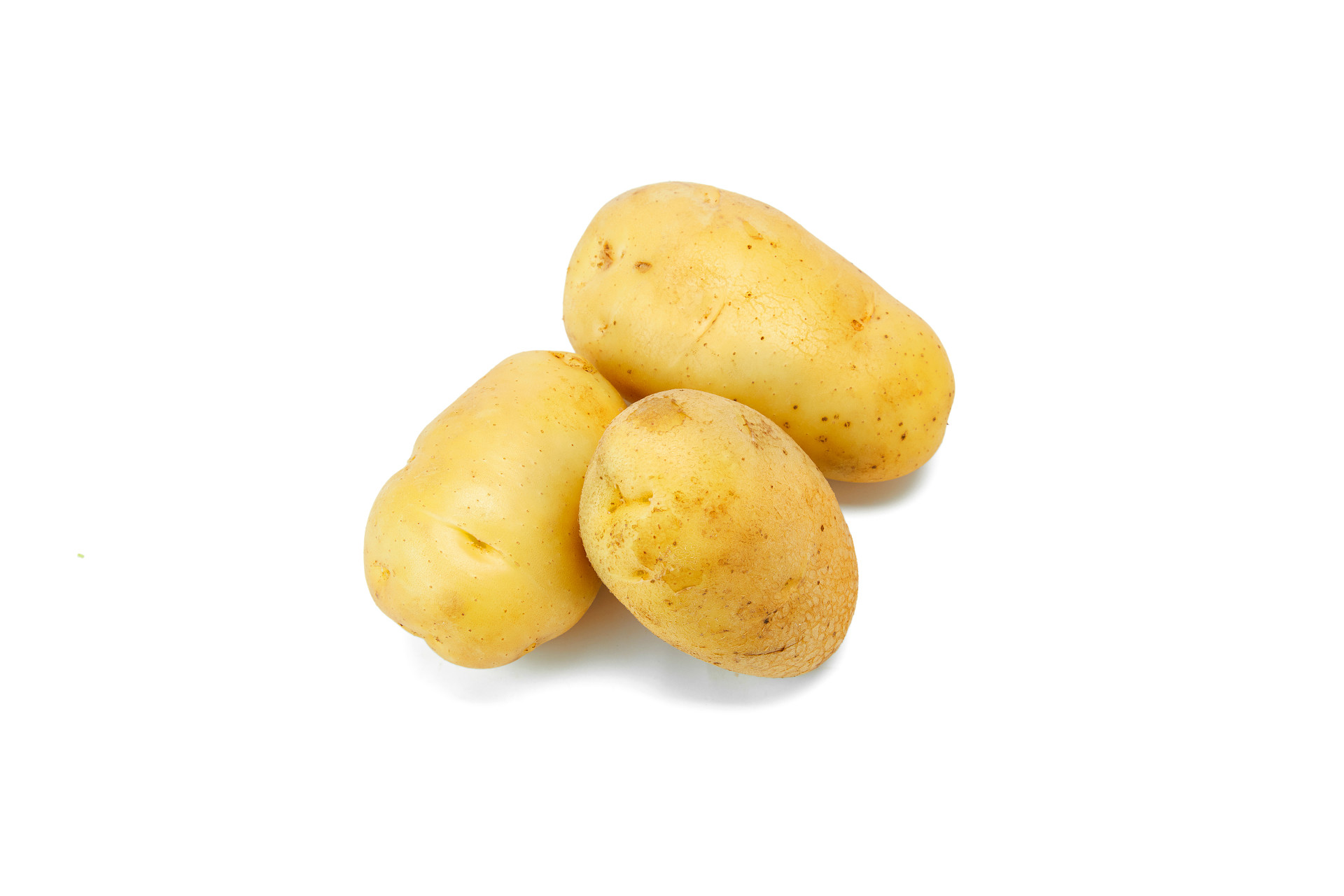白底蔬菜三个土豆新鲜蔬菜土豆马铃薯