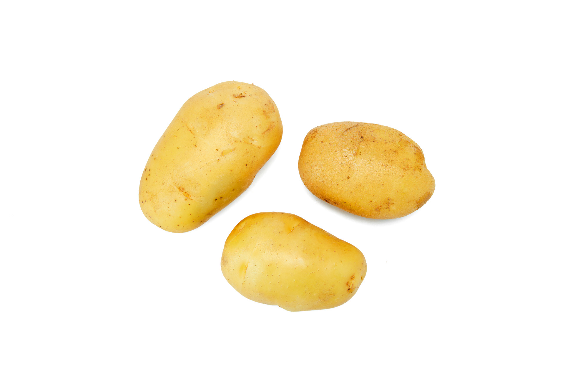 白底蔬菜三个土豆新鲜蔬菜土豆马铃薯