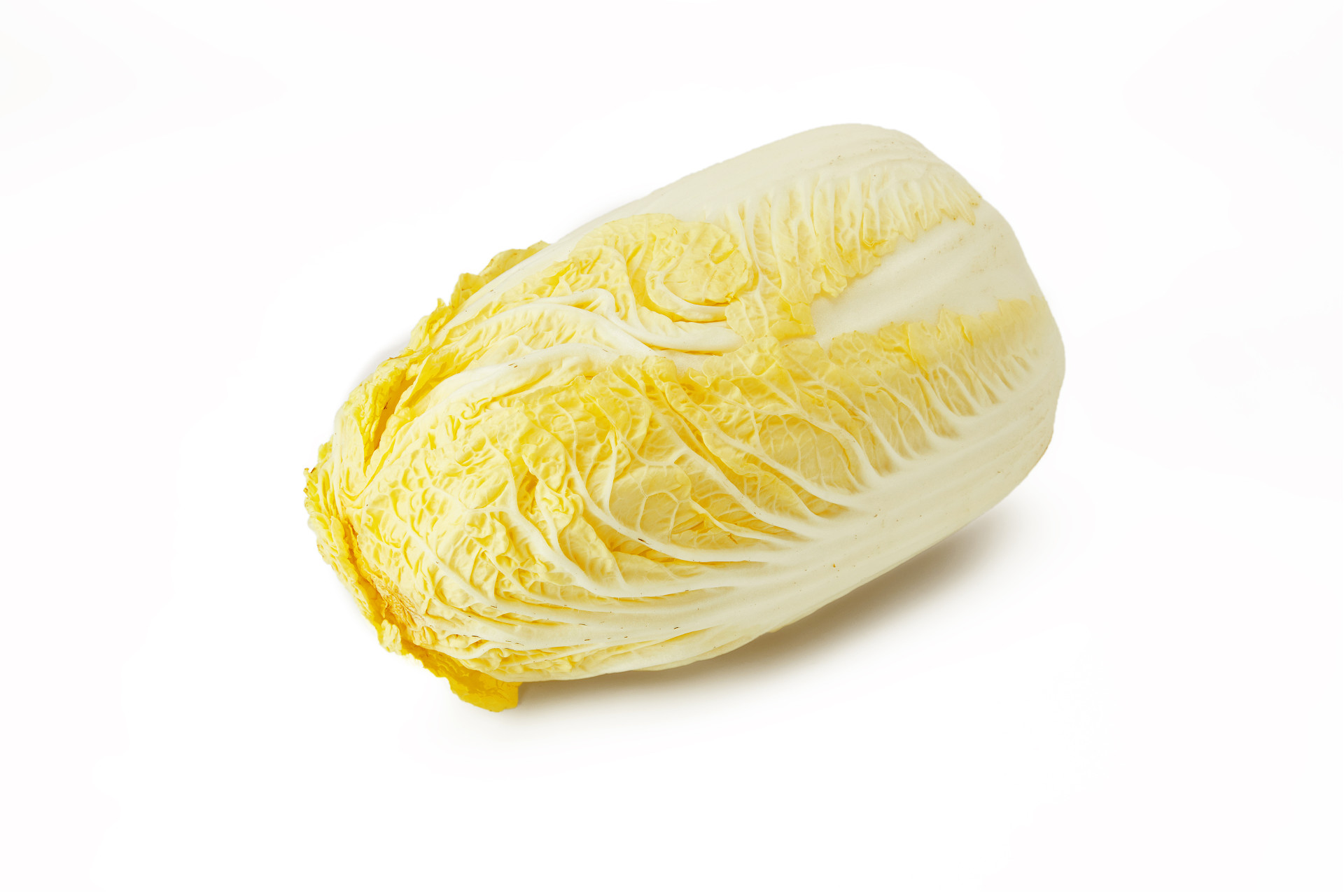 白底蔬菜白菜大白菜一颗白菜新鲜蔬菜