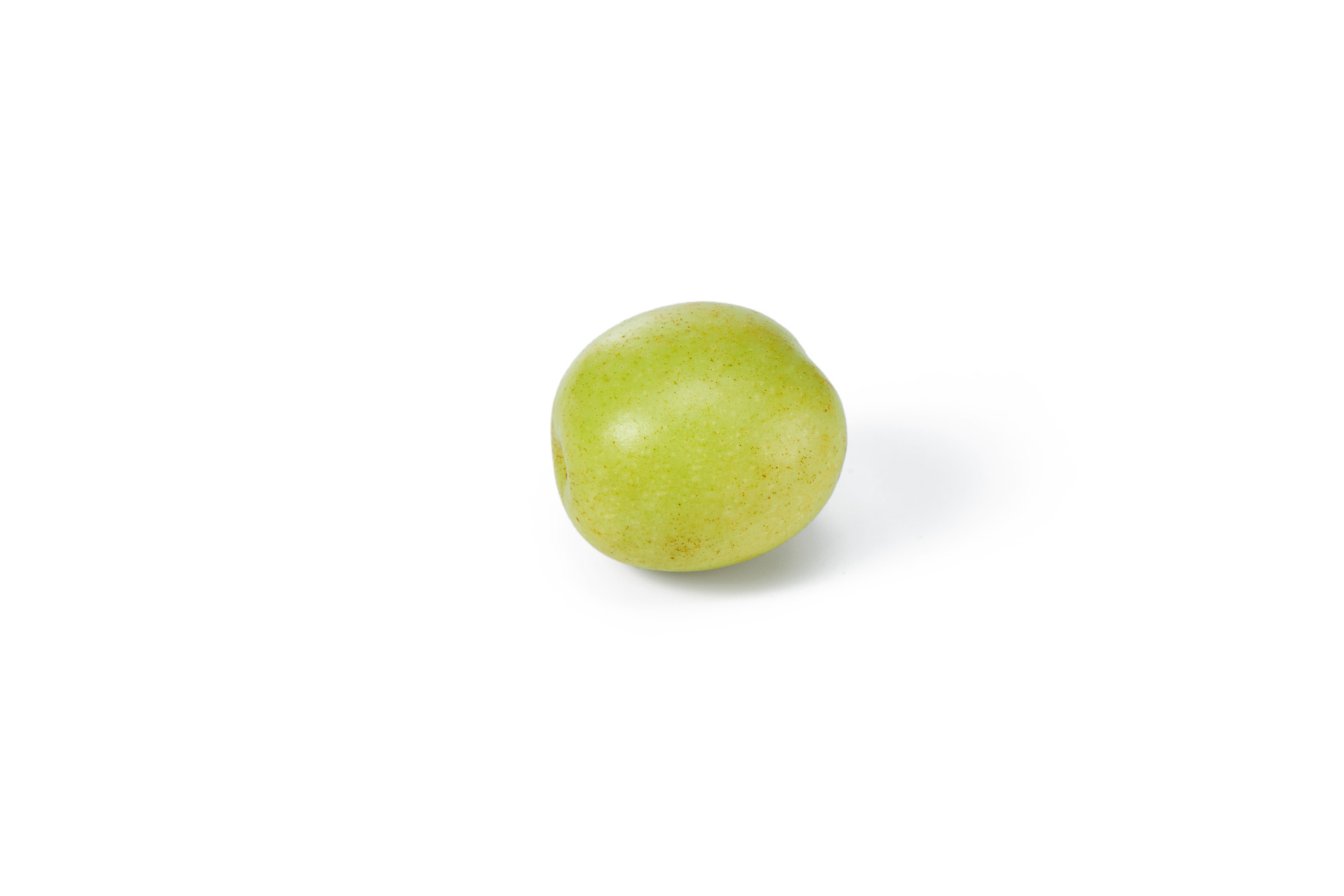 白底水果一颗冬枣一颗鲜枣枣鲜枣枣子大枣冬枣