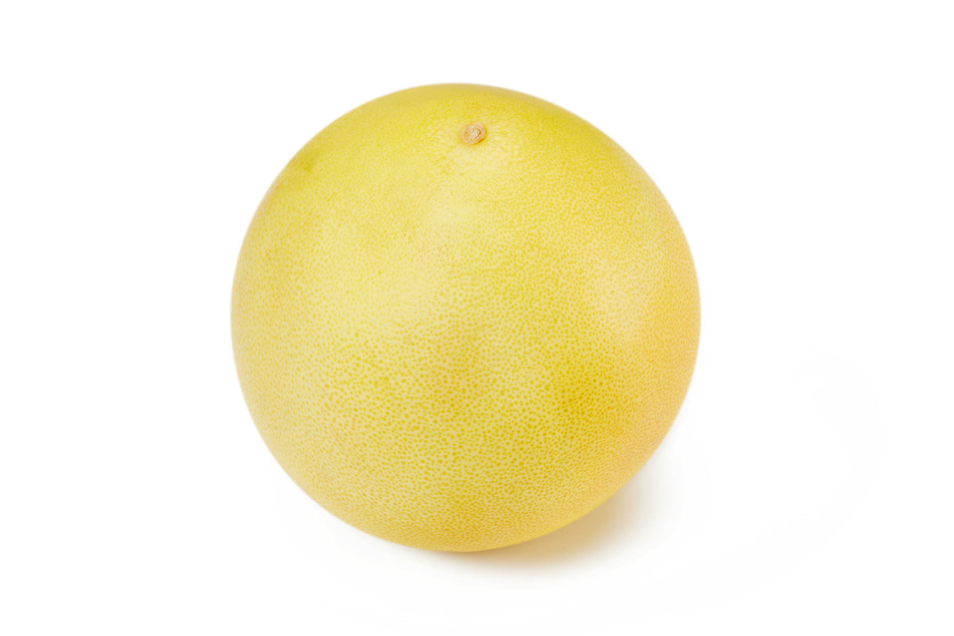 白底水果柚子整个柚子一个柚子新鲜水果