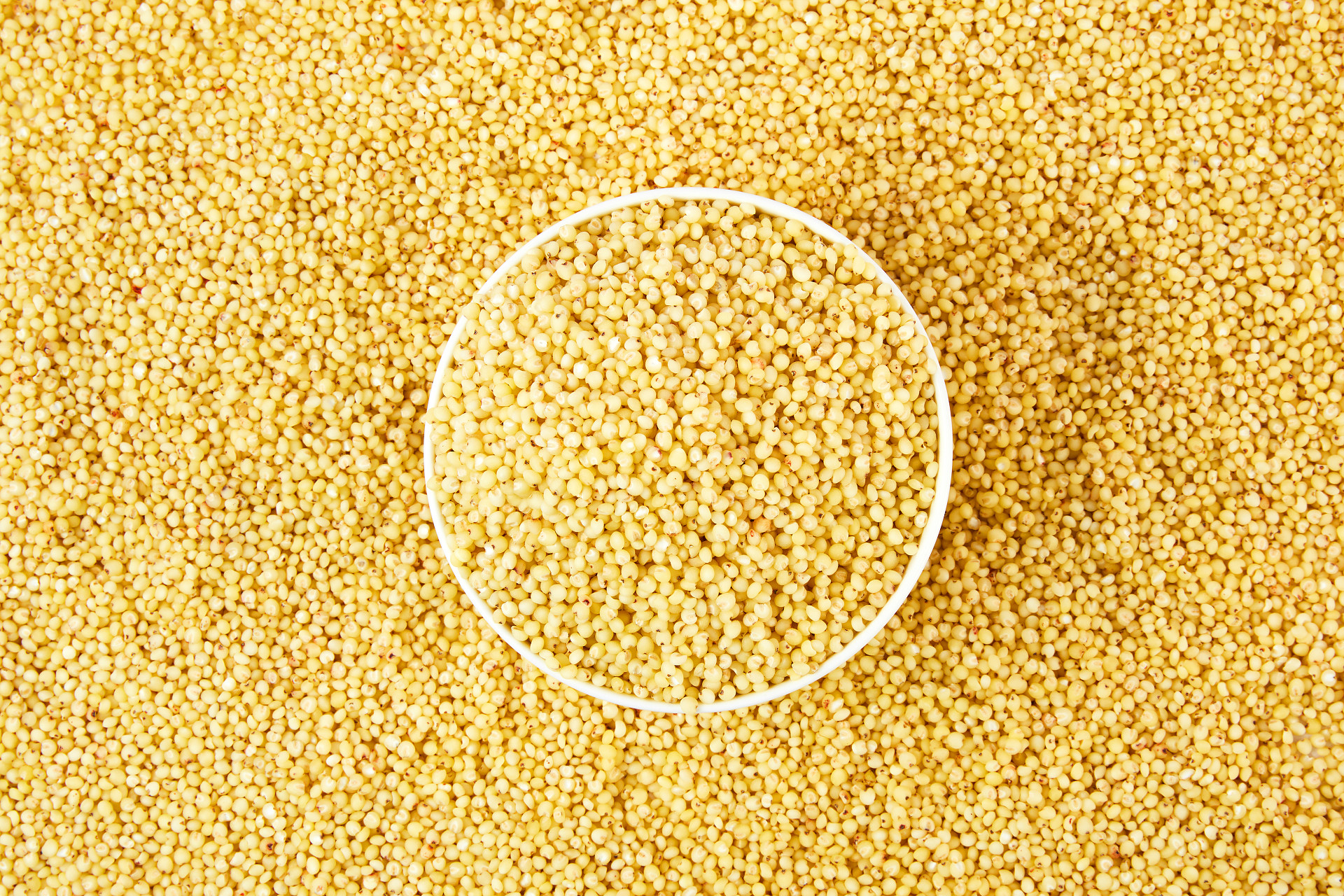 白碗高粱米平铺高粱米一碗高粱米一碗米粒