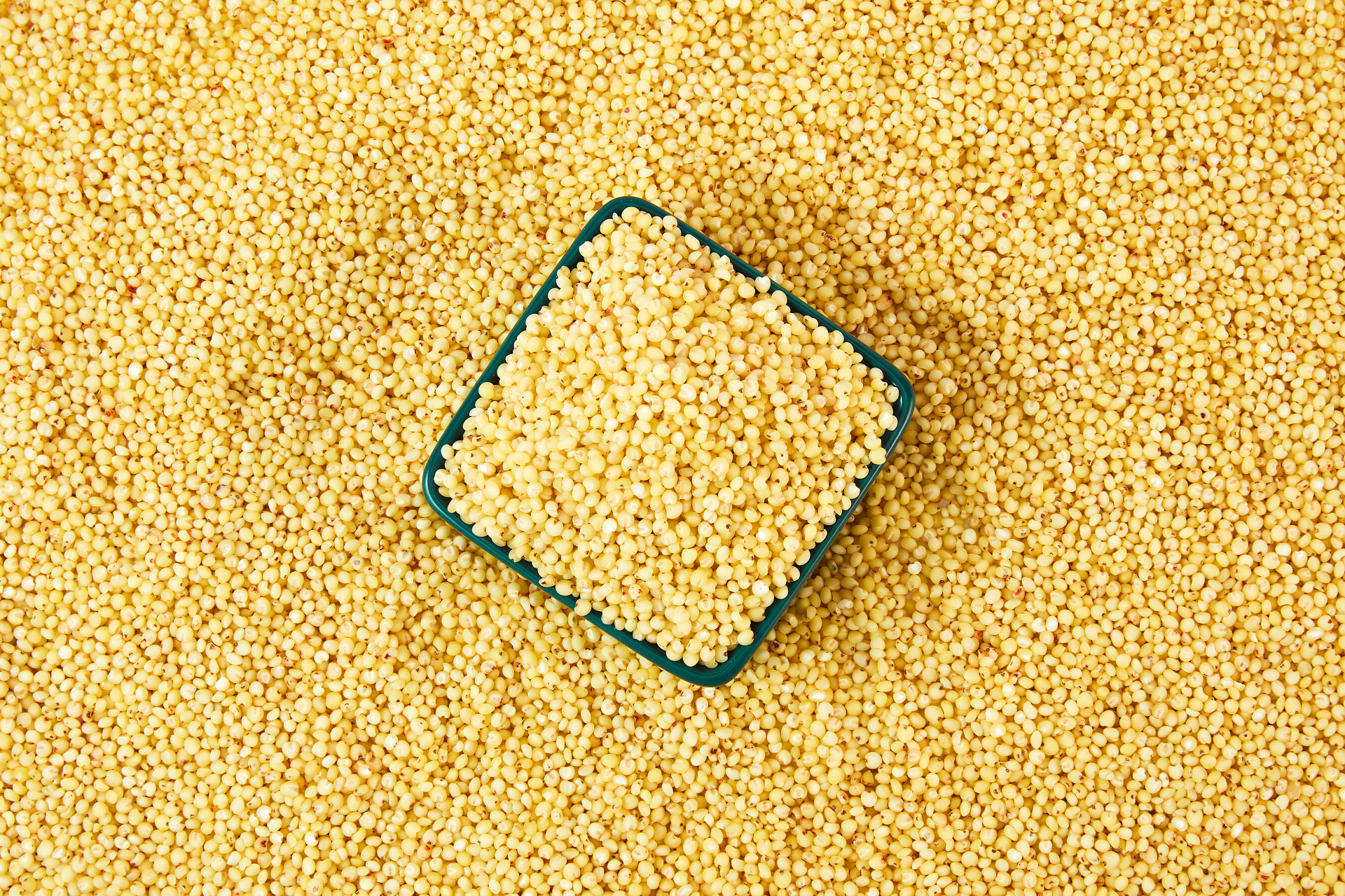 绿盒高粱米平铺高粱米一盒高粱米一盒米粒