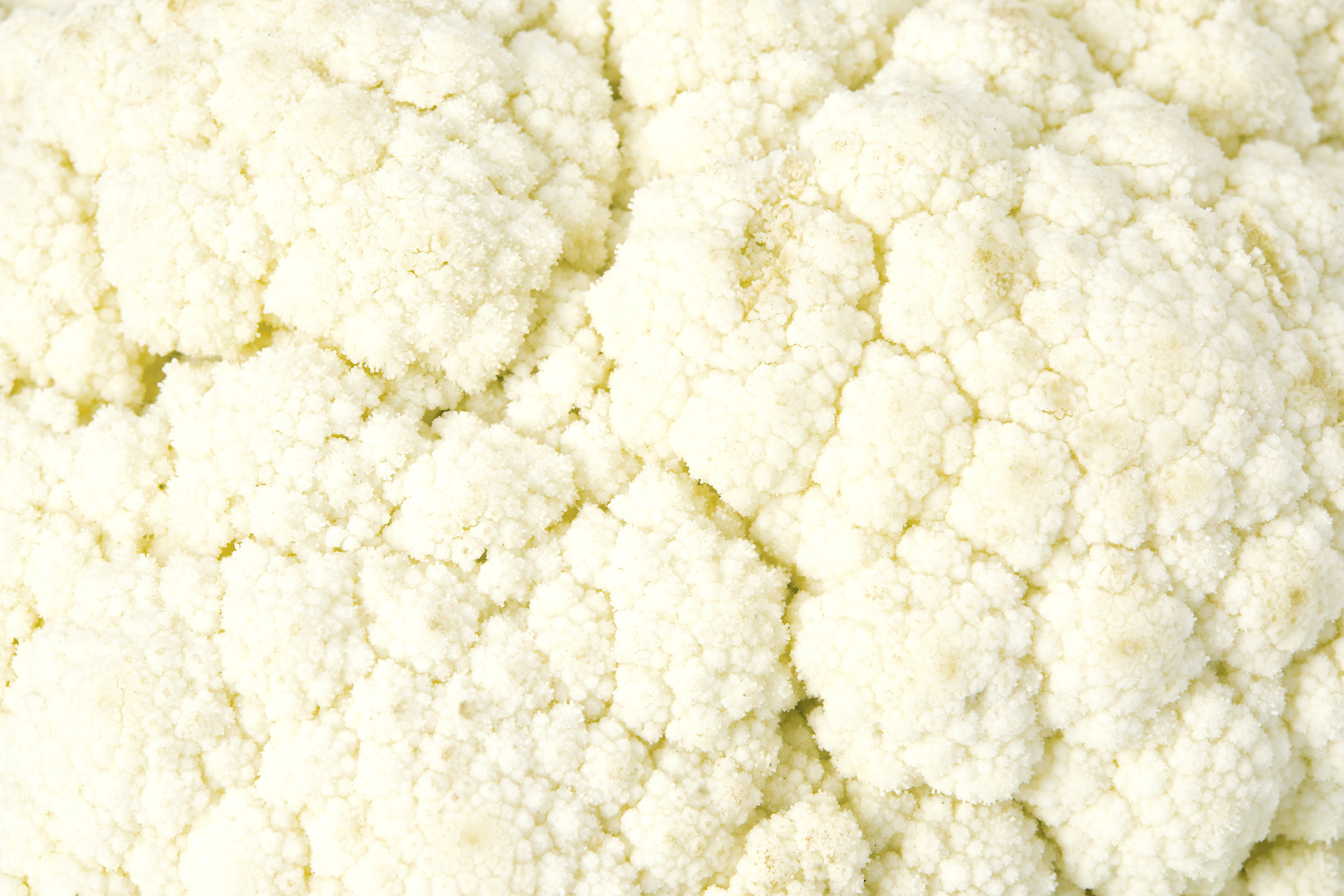 蔬菜特写平铺蔬菜菜花花菜