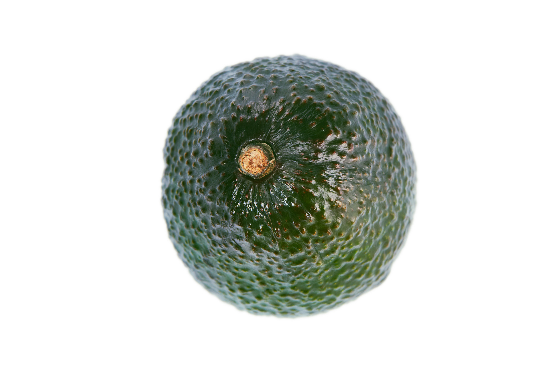 俯视图白底水果牛油果一颗牛油果