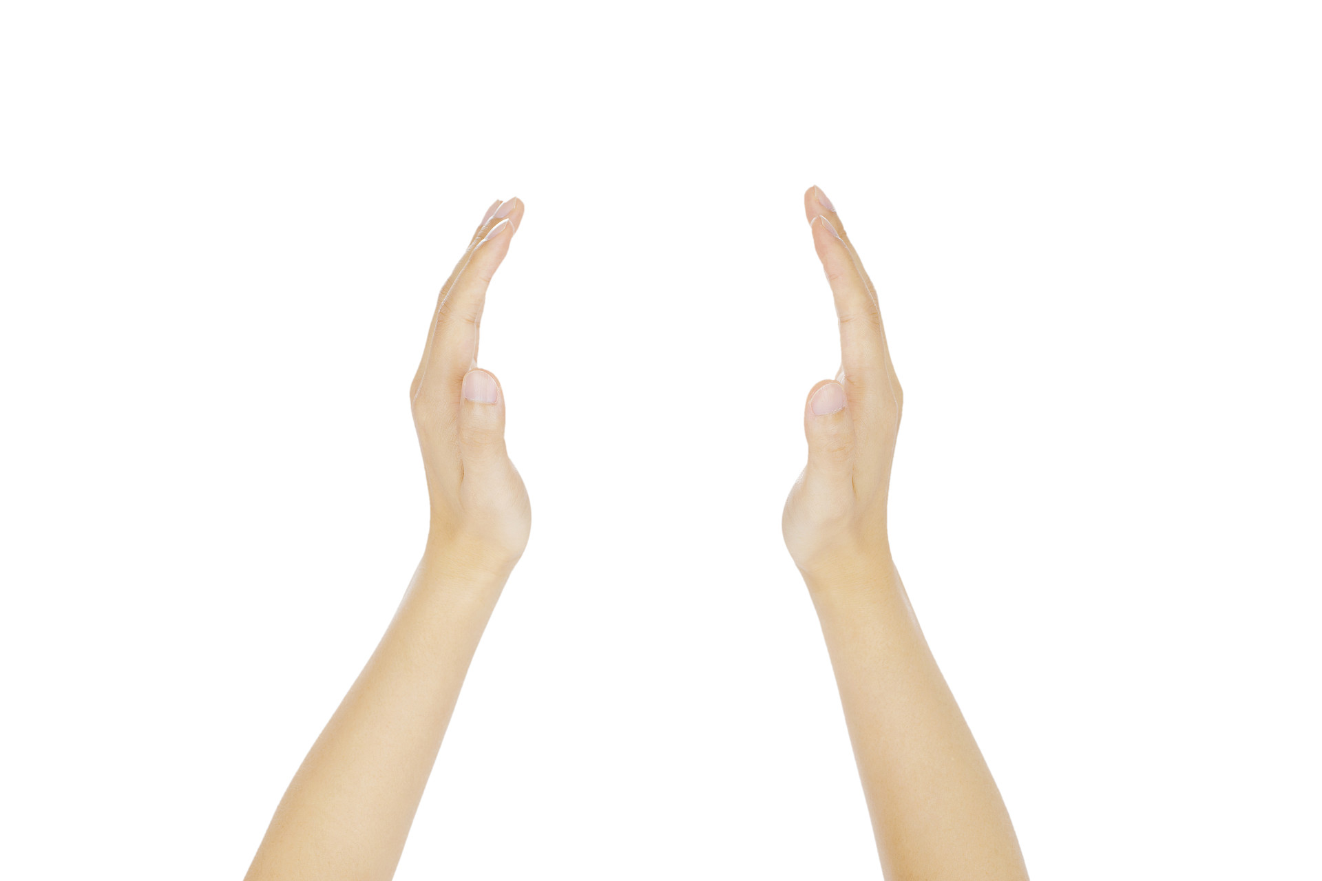 白底手势人物手势