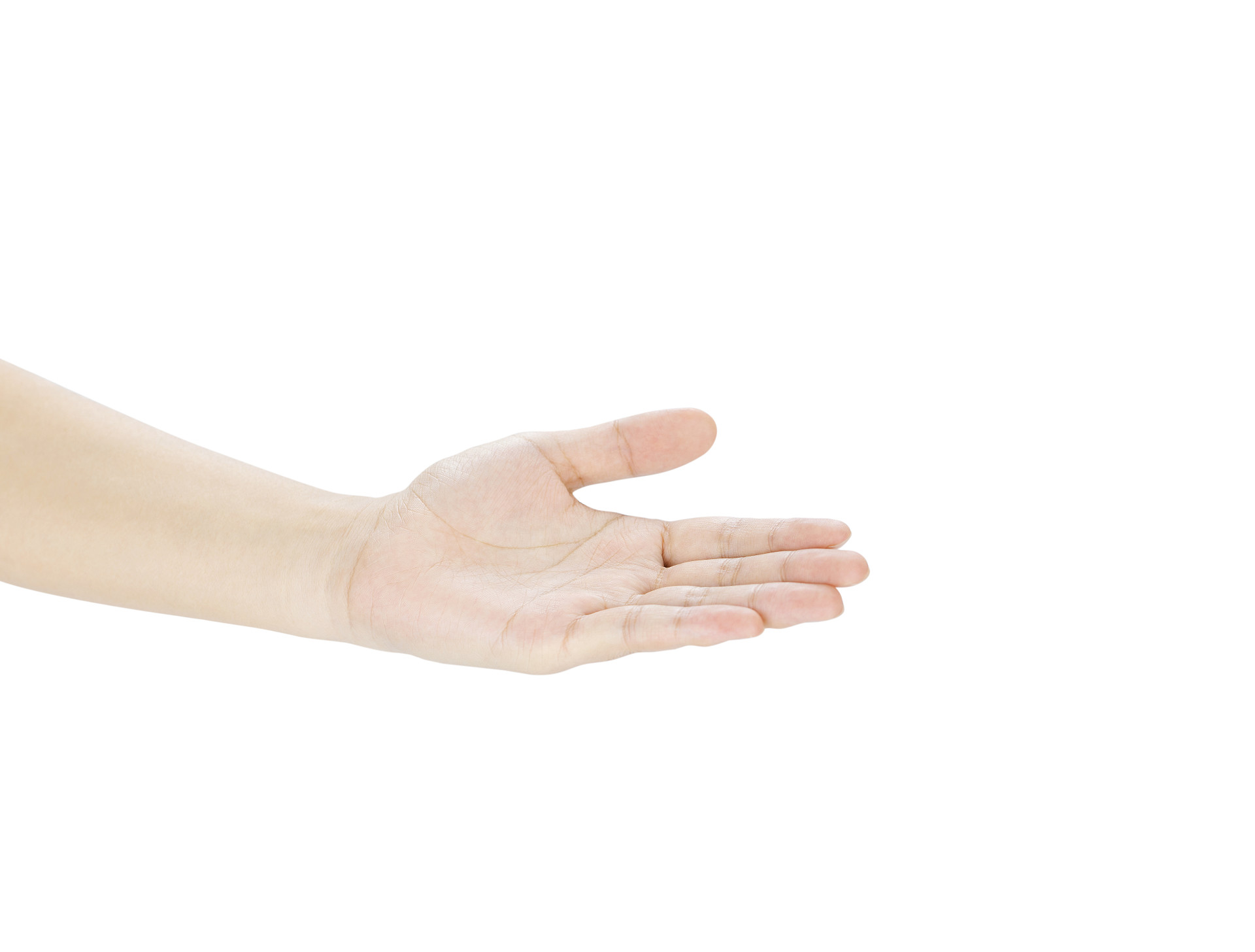 白底手势人物手势请的手势引路手势