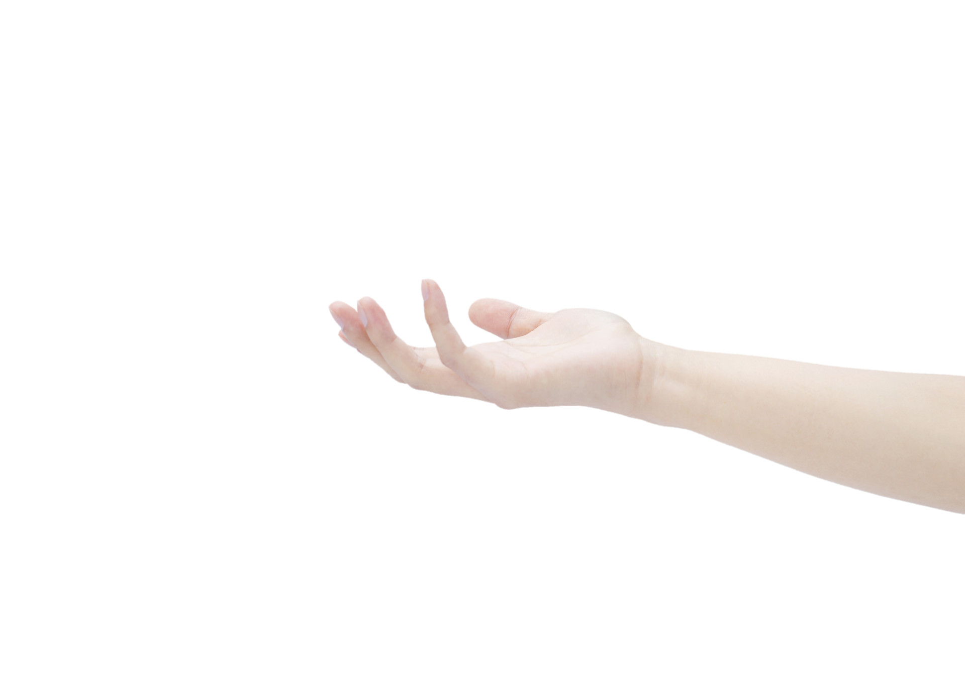 白底手势人物手势弯曲手掌微弯手掌