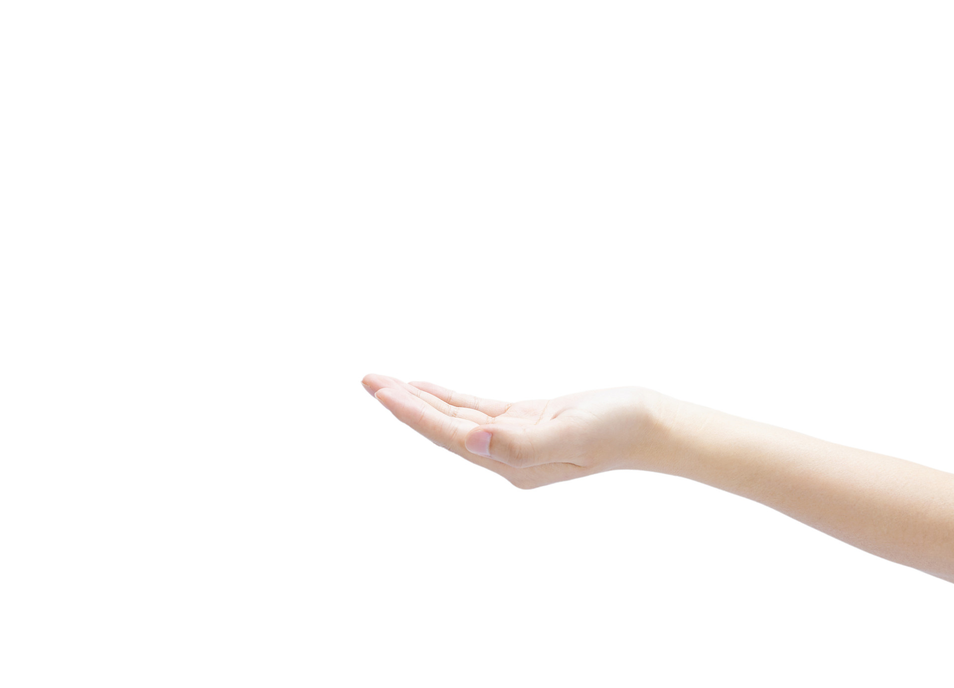 白底手势人物手势托起手势单手托起