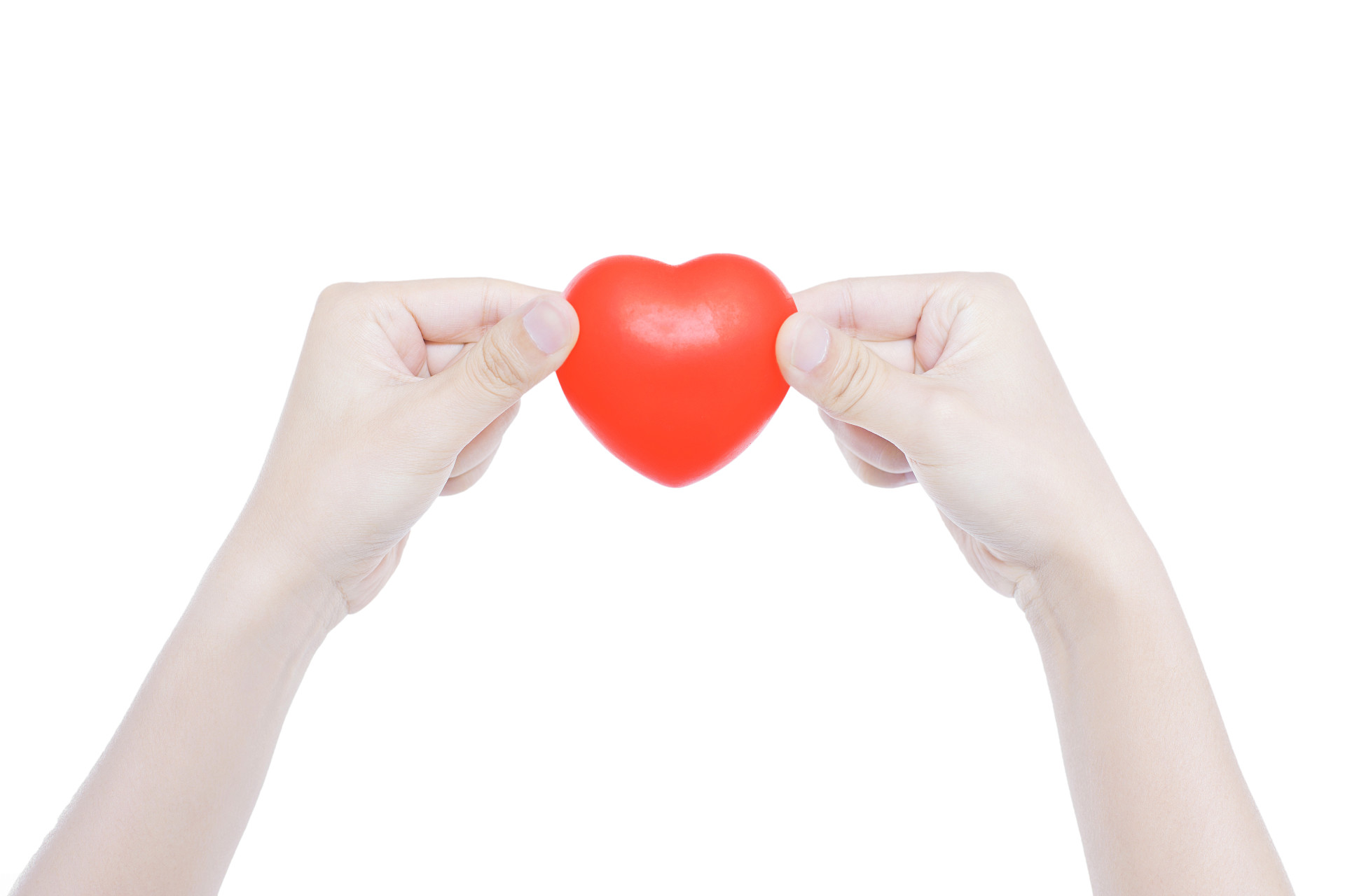 白底手势人物手势双手手拿爱心红色爱心