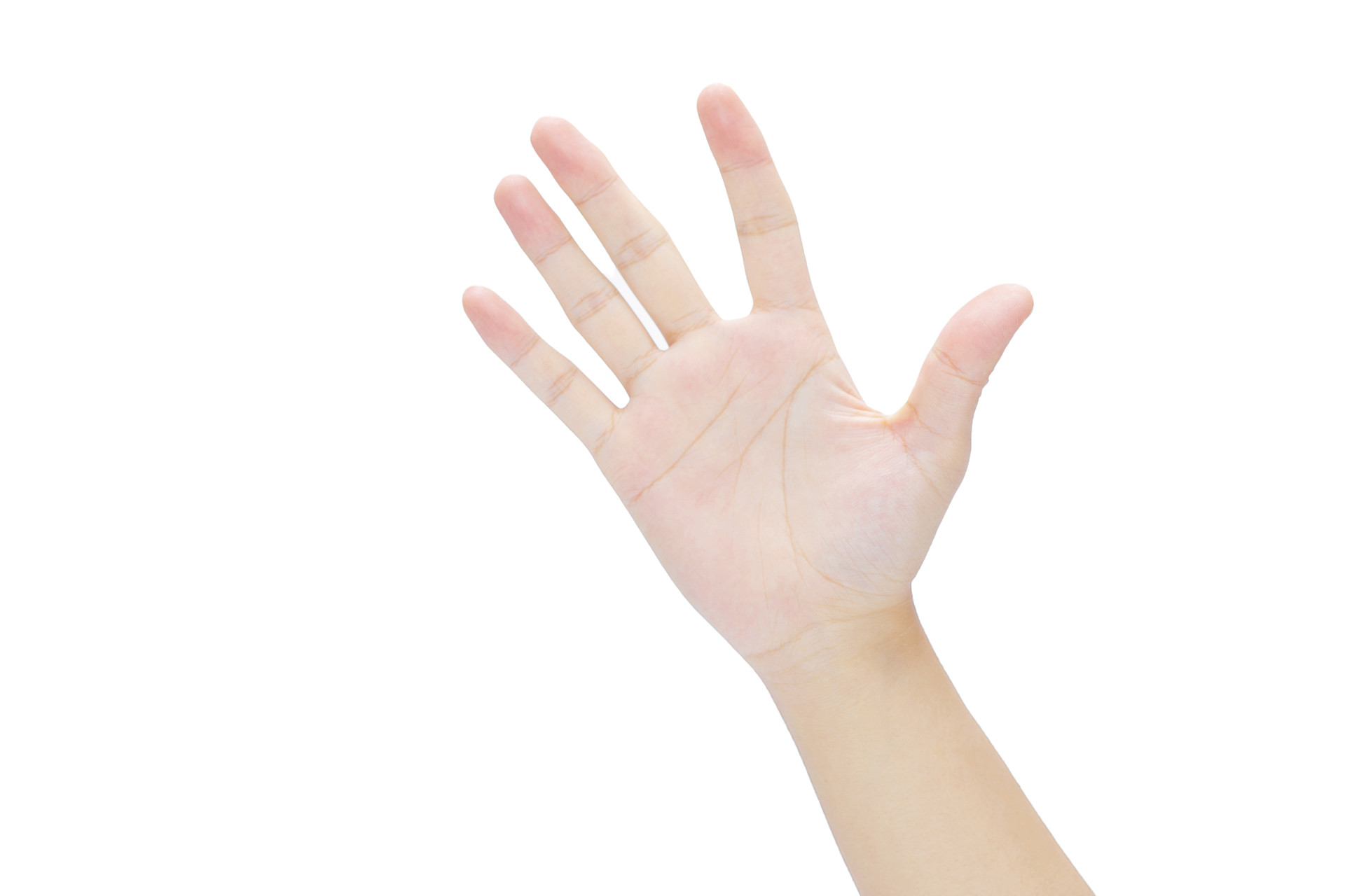 白底手势人物手势一只手张开手掌