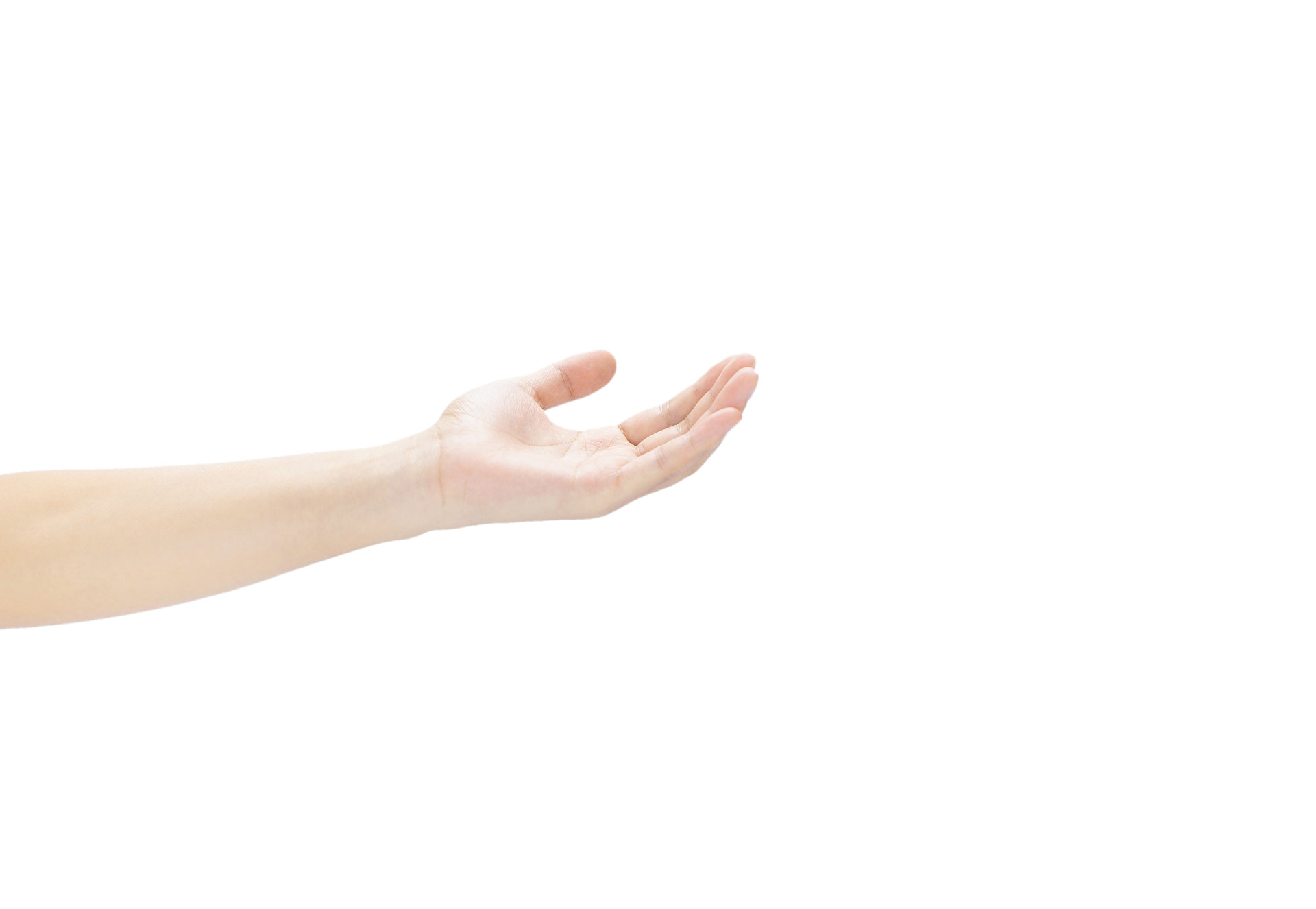 白底手势人物手势弯曲手掌微弯手掌