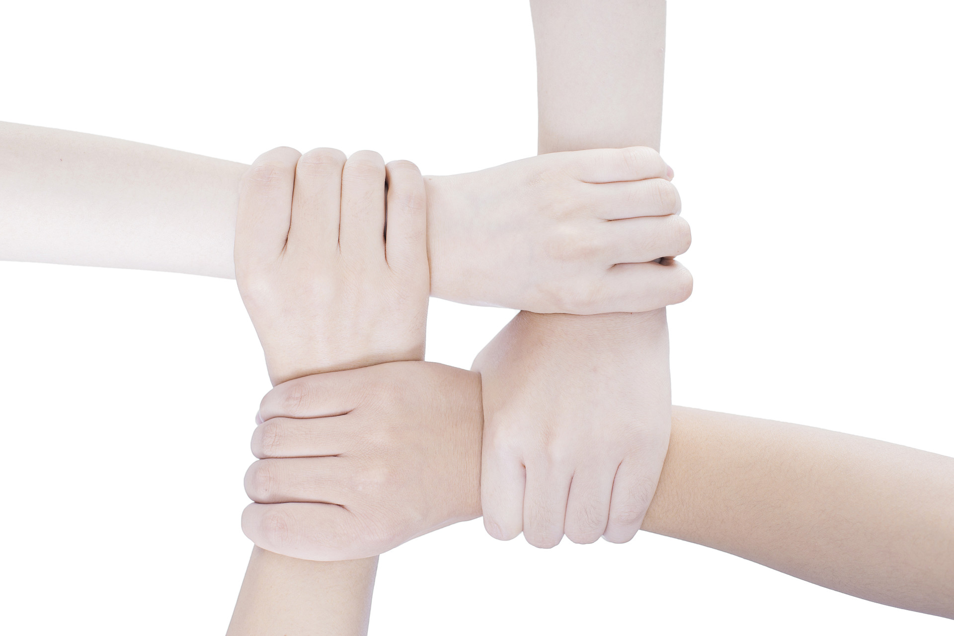 白底手势人物手势四只手握住团结手势支持手势