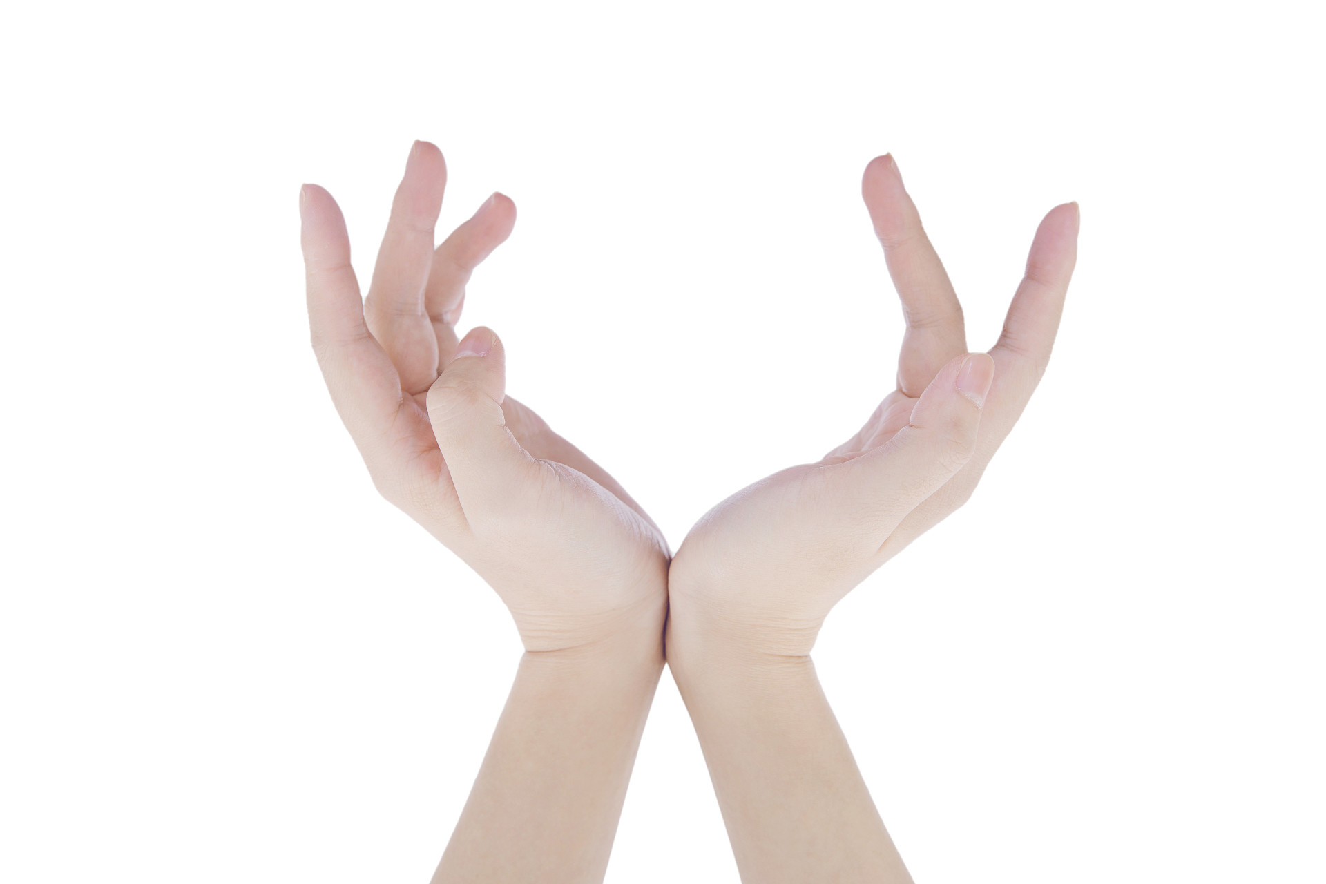 白底手势人物手势两手微弯微弯手掌保护手势呵护手势