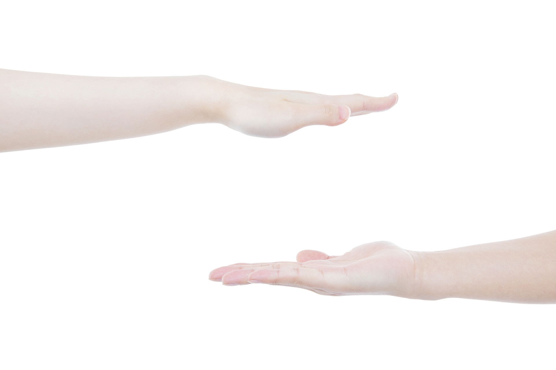 白底手势人物手势伸出手臂手掌向下手掌向上