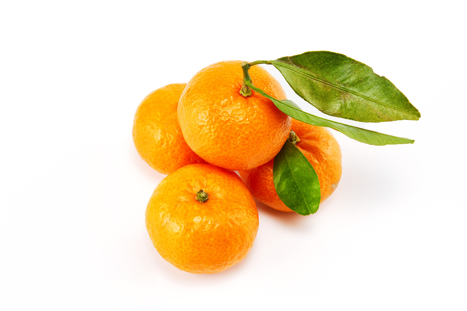 白底新鲜水果绿叶几个小橘子桔子蜜桔金桔橘子
