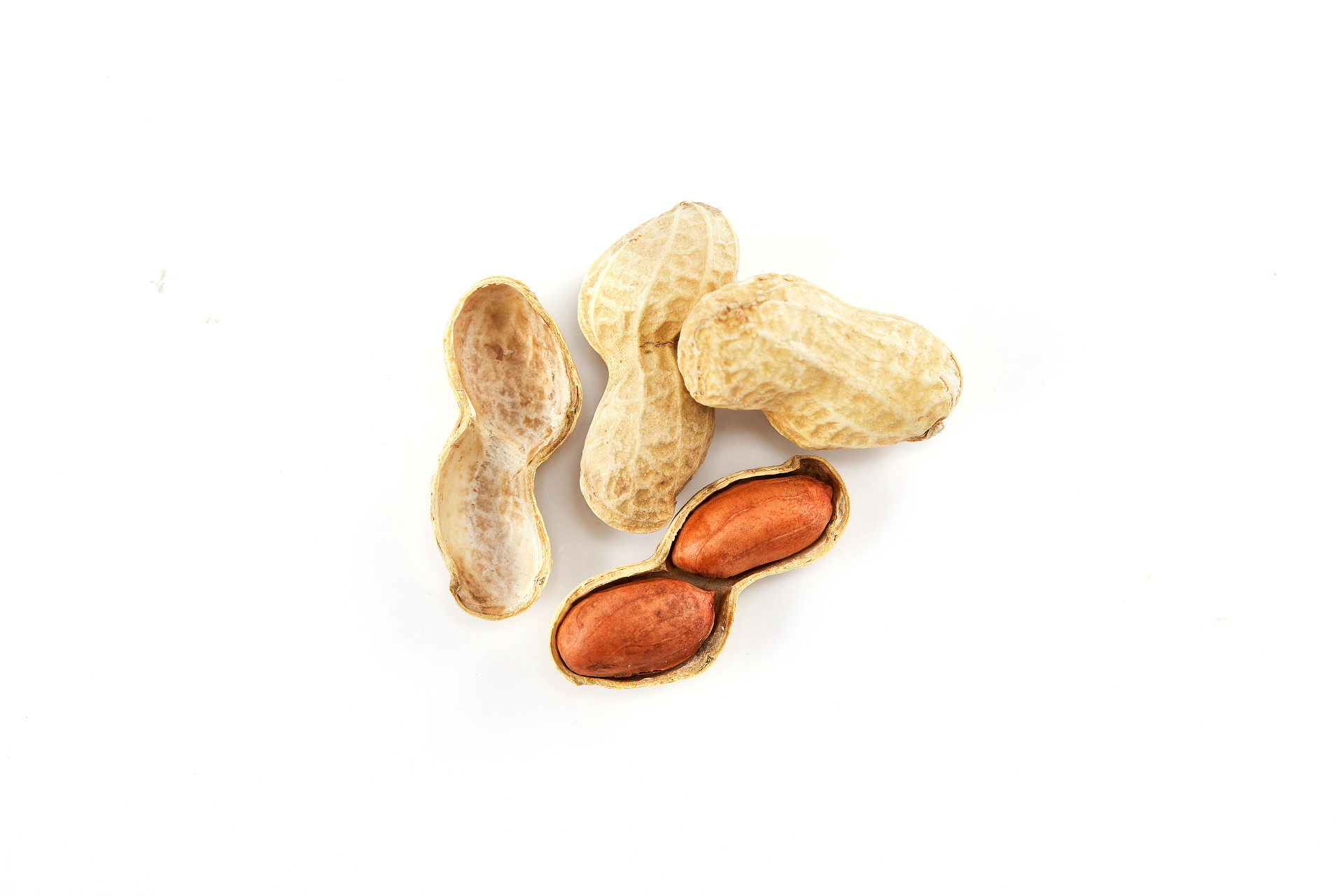 俯视图白底花生剥开花生带壳花生几粒花生坚果