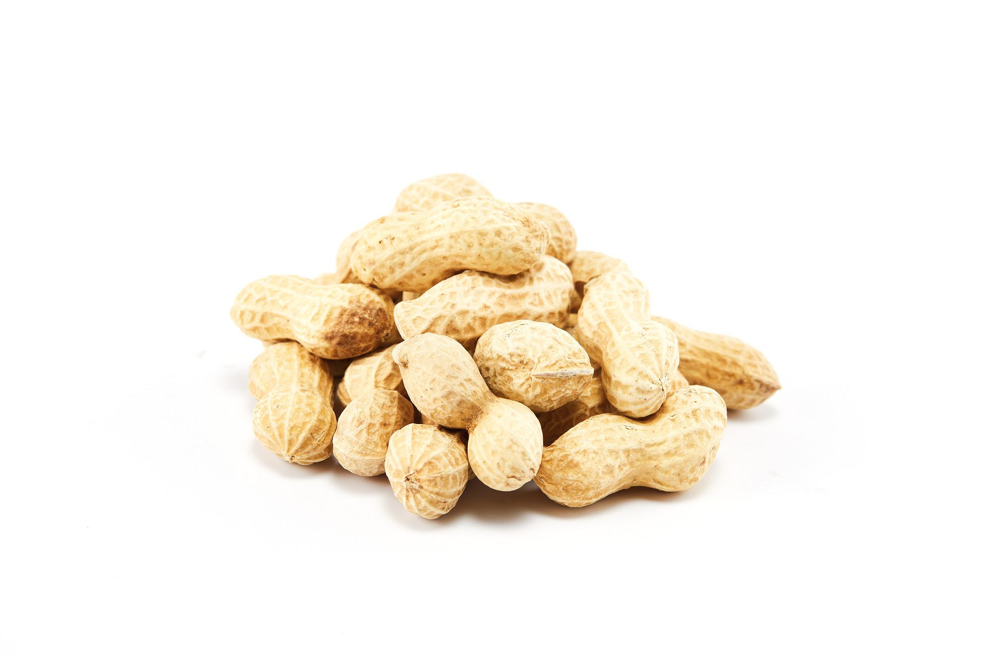 白底带壳花生一堆花生散落花生坚果