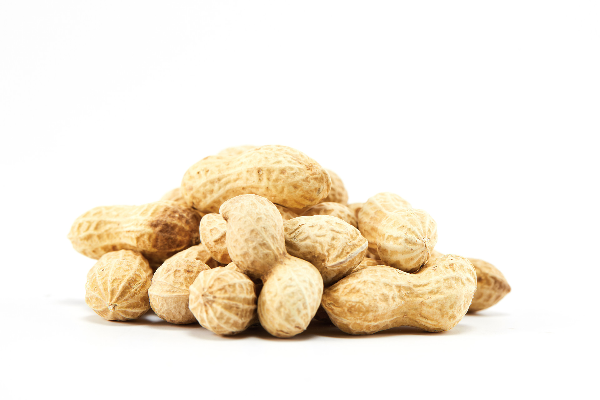 白底花生带壳花生一堆花生散落花生散落坚果