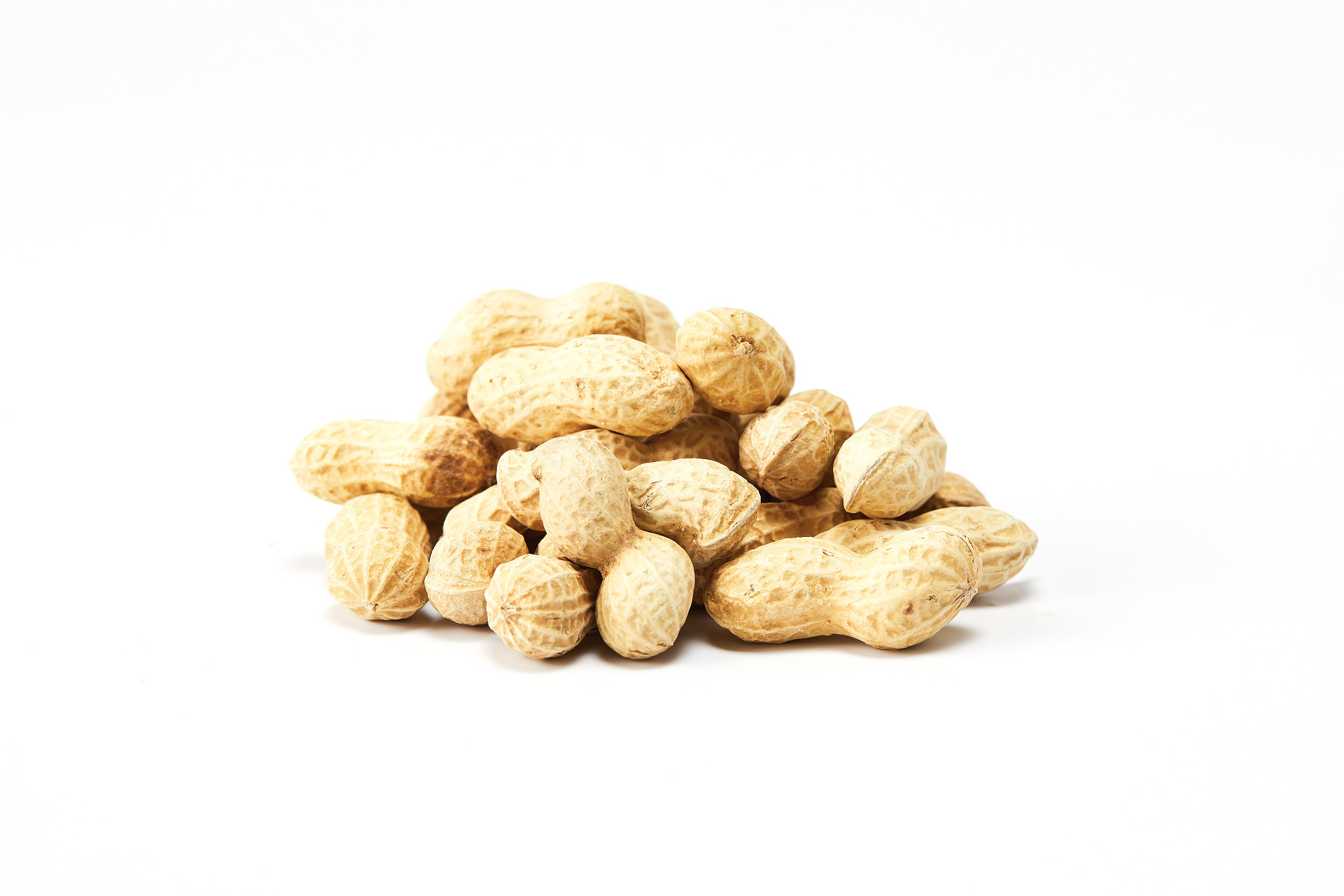 白底带壳花生一堆花生散落花生坚果