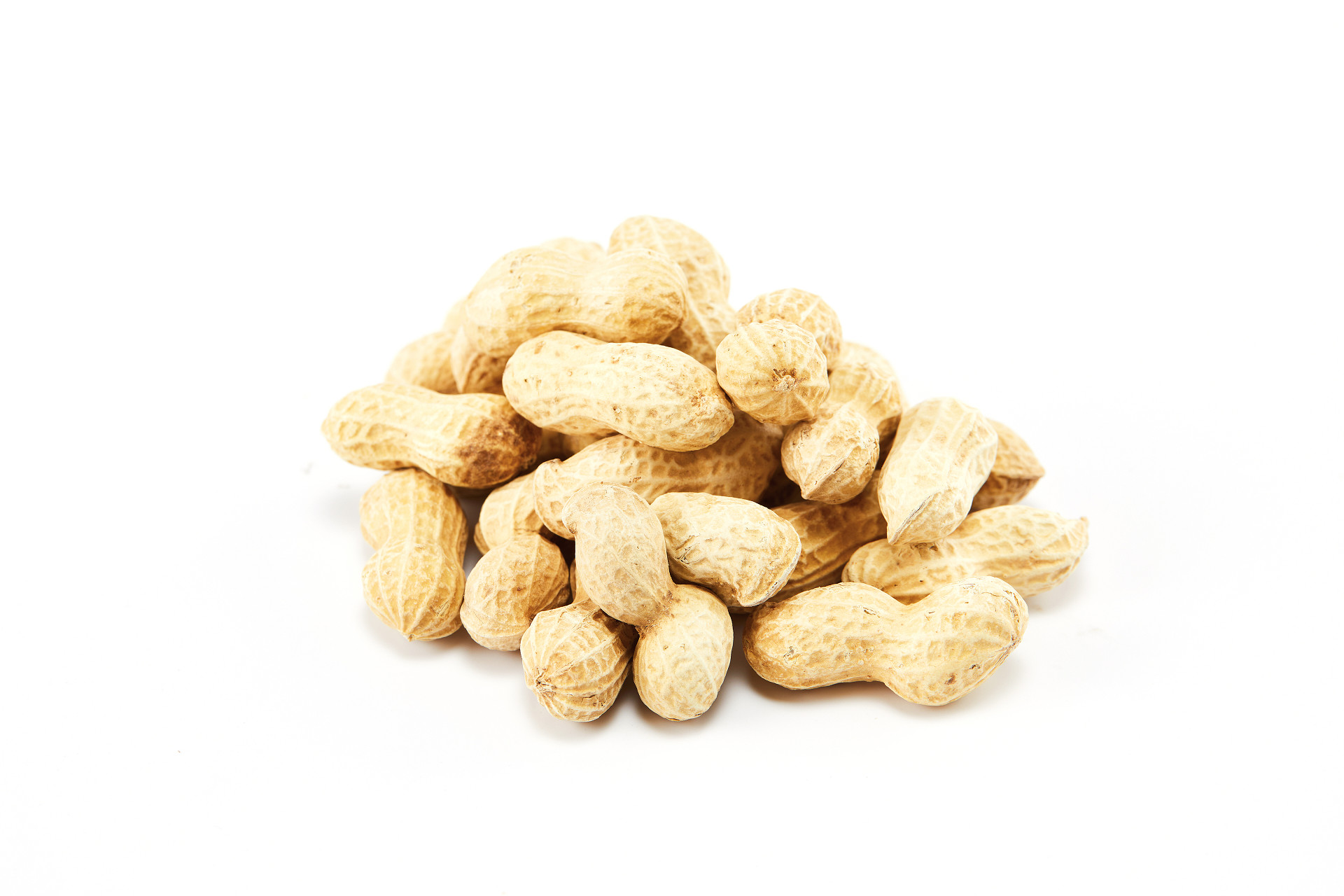 白底花生带壳花生一堆花生散落花生坚果