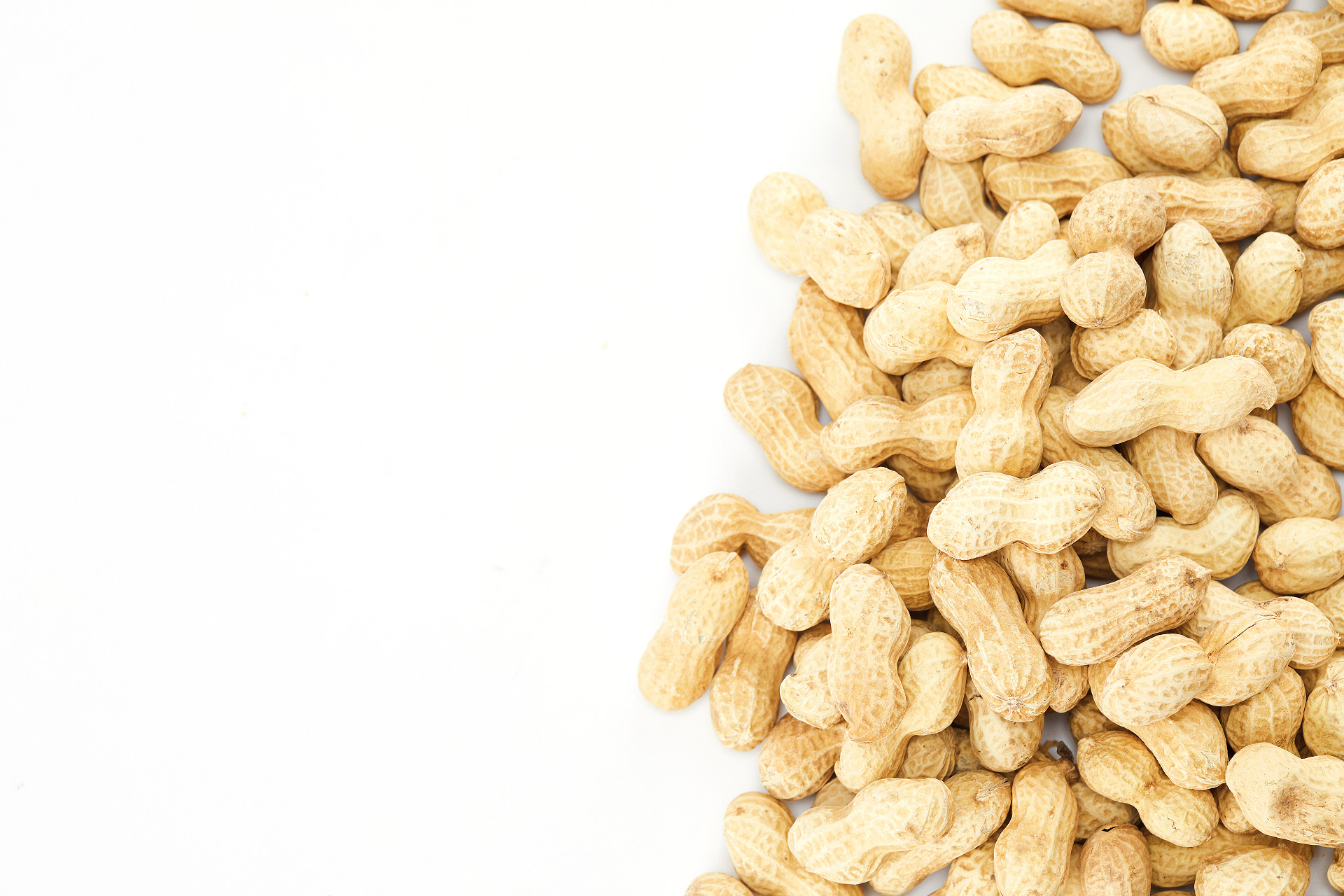 白底一侧花生花生带壳花生一堆花生散落花生坚果