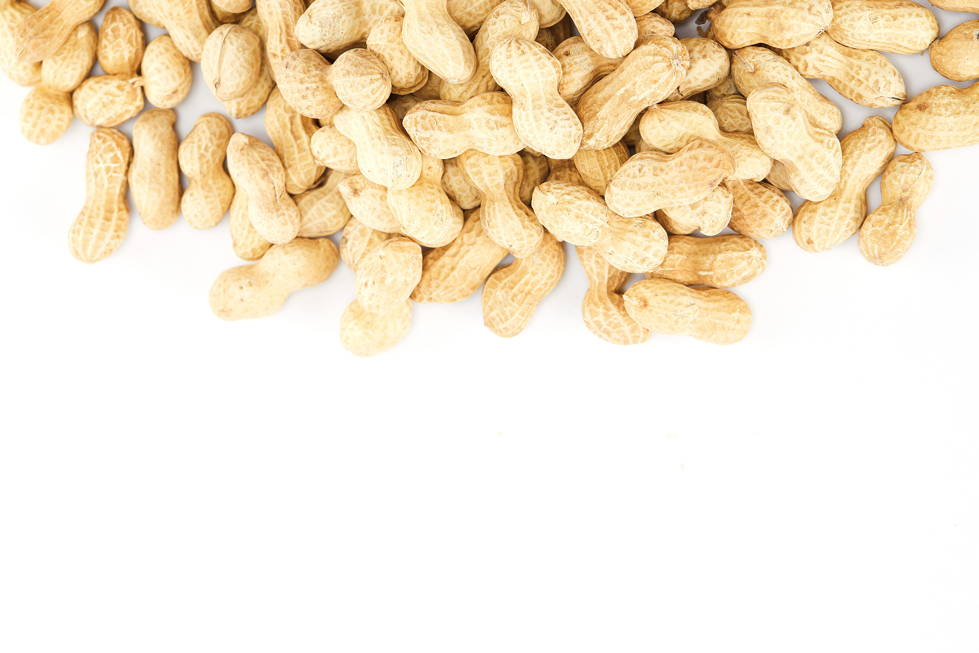 白底上侧花生一侧花生花生带壳花生一堆花生散落花生坚果