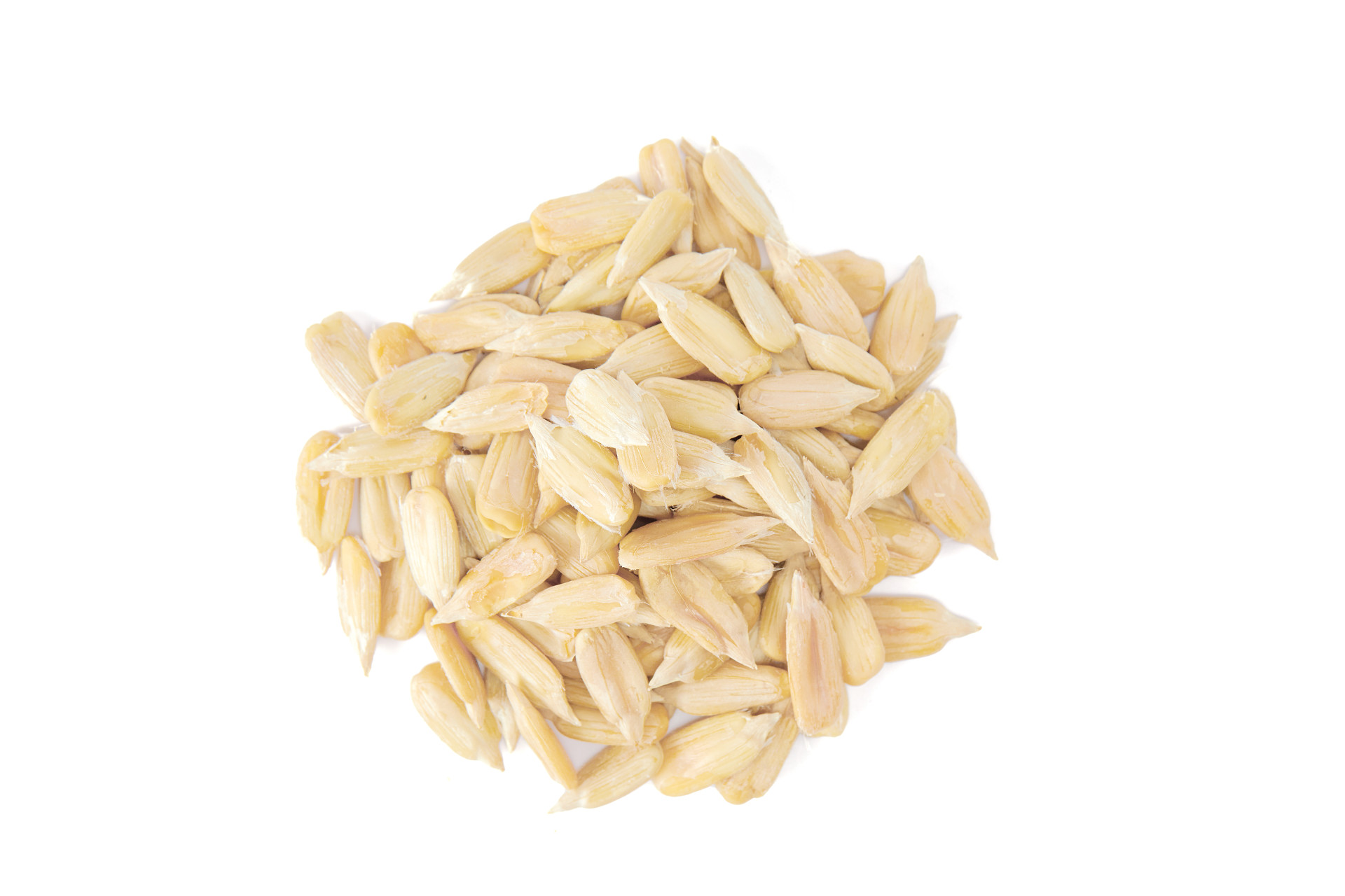 俯视图白底瓜子仁一堆瓜子仁一堆果仁剥开瓜子坚果