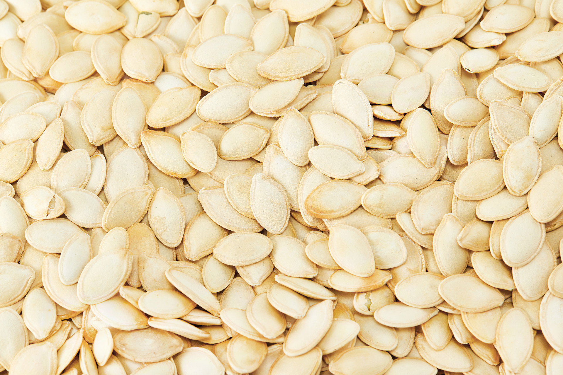 俯视图平铺南瓜子平铺坚果南瓜子背景坚果