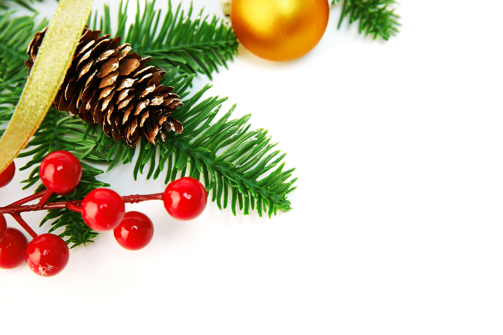 白底丝带松果绿叶红果子圣诞节圣诞元素