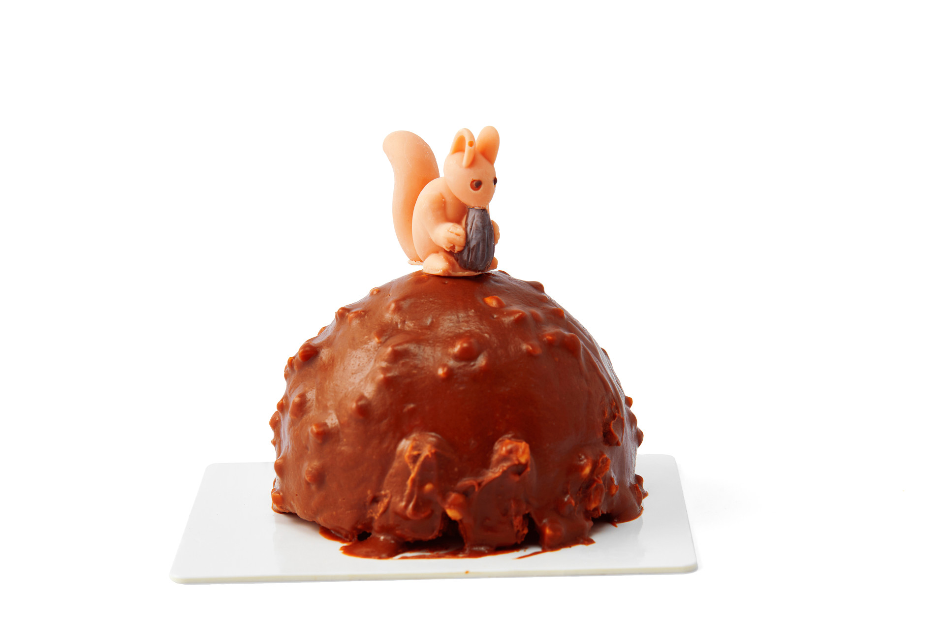 白底美味蛋糕巧克力蛋糕松鼠装饰美食