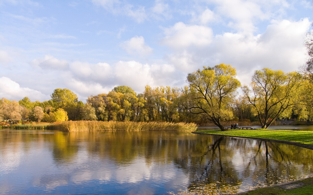秋天秋季自然风景天空下的树木湖泊倒影风景图