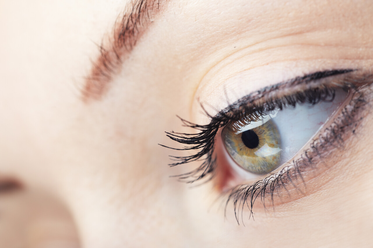 眼睛特写欧美女性眼睛眼睫毛特写睫毛美容