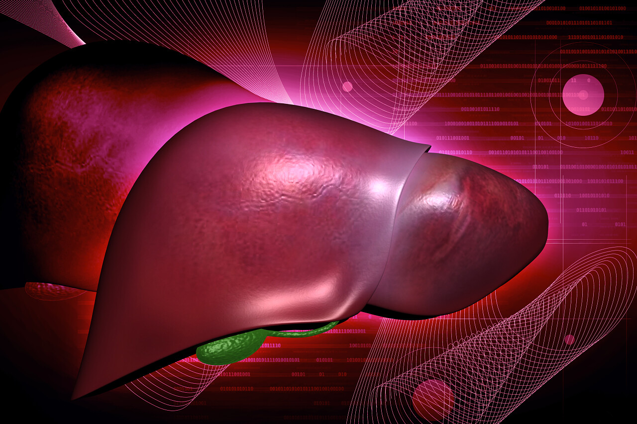 红色的背景红色人类器官肝脏图全国爱肝日