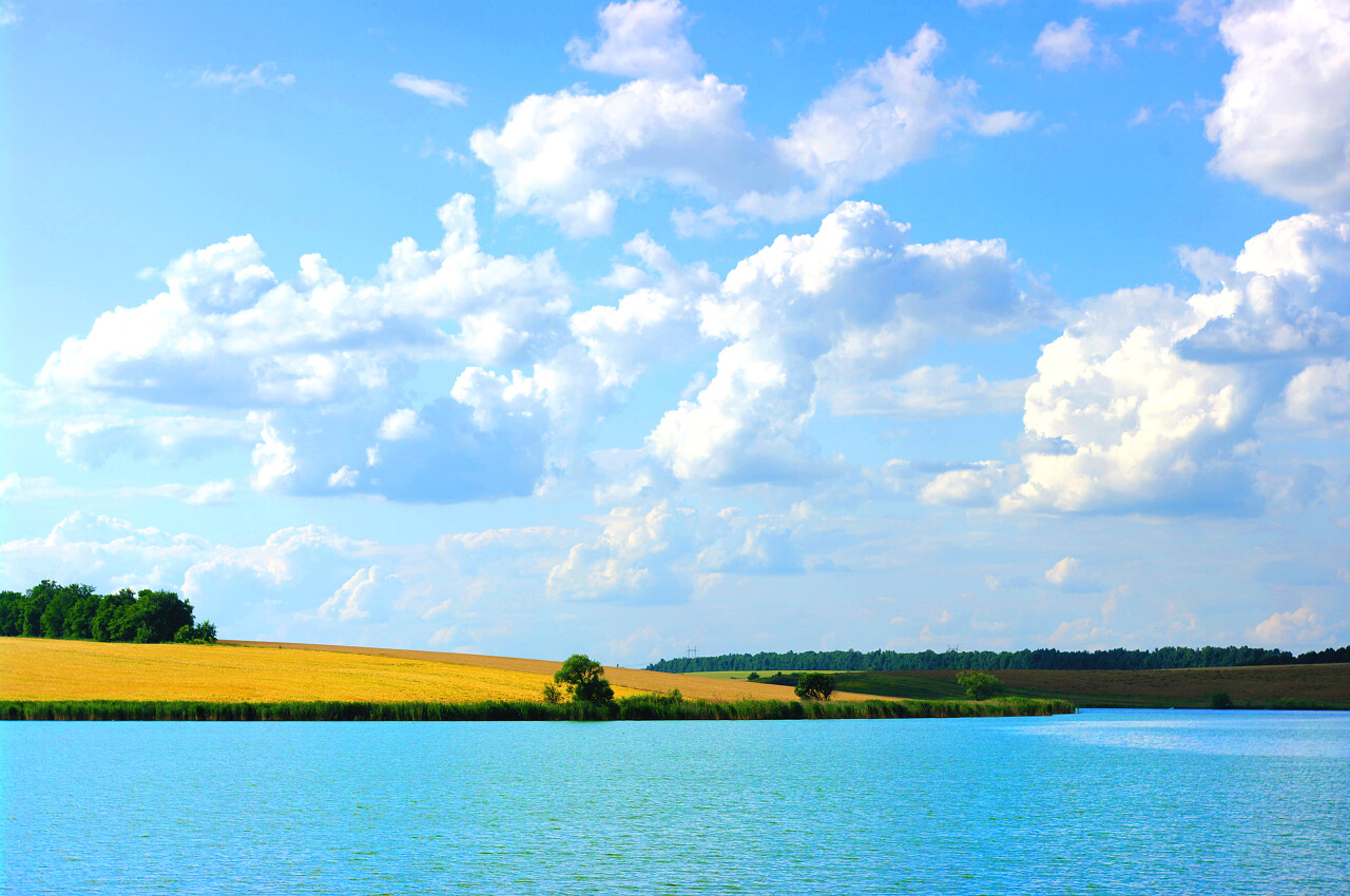 自然田野风景明亮清新蓝天白云下的麦田湖水风景图