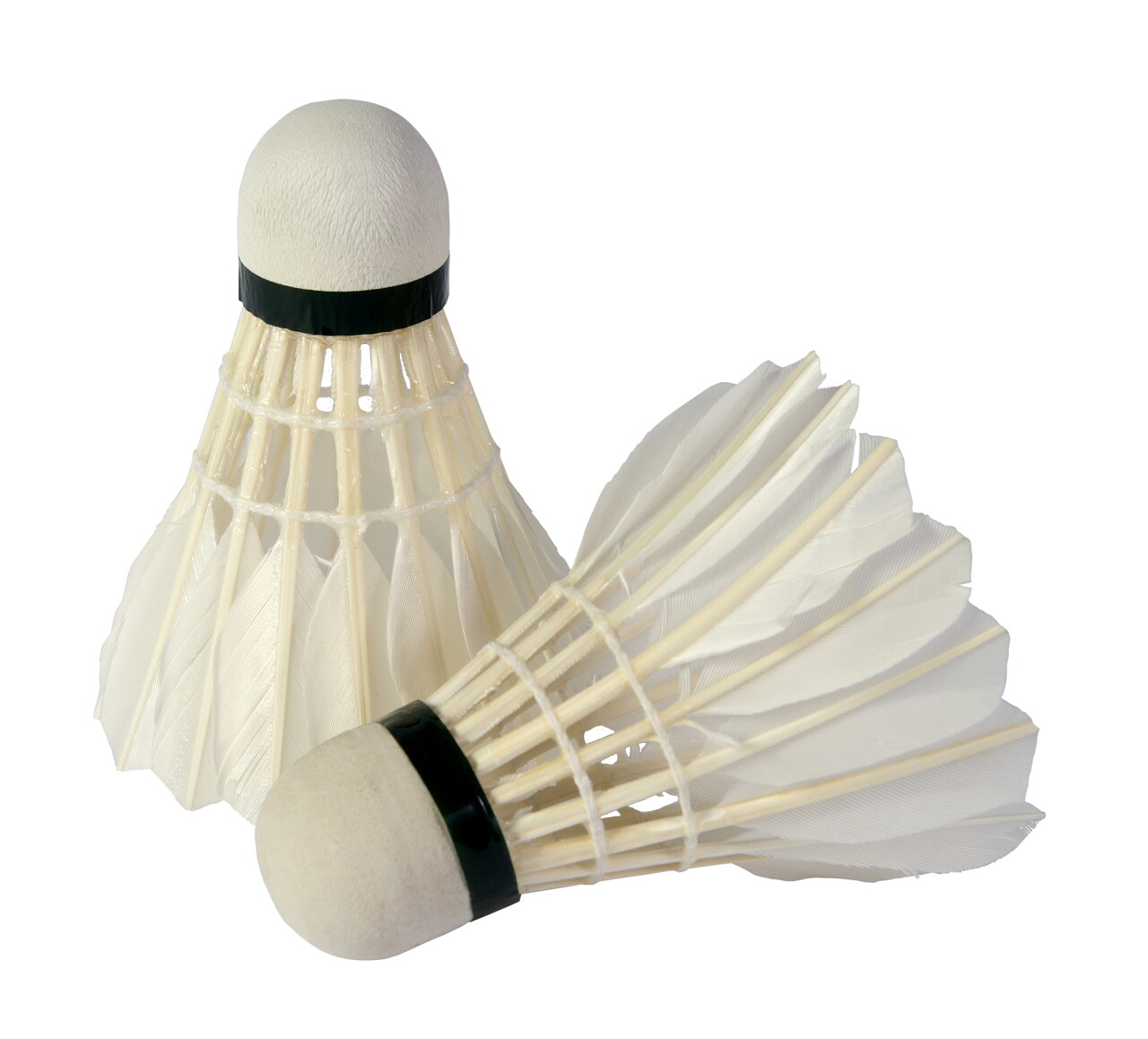 白底两个白色羽毛球