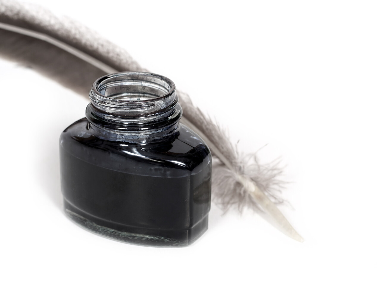 白底一瓶墨水和一根羽毛