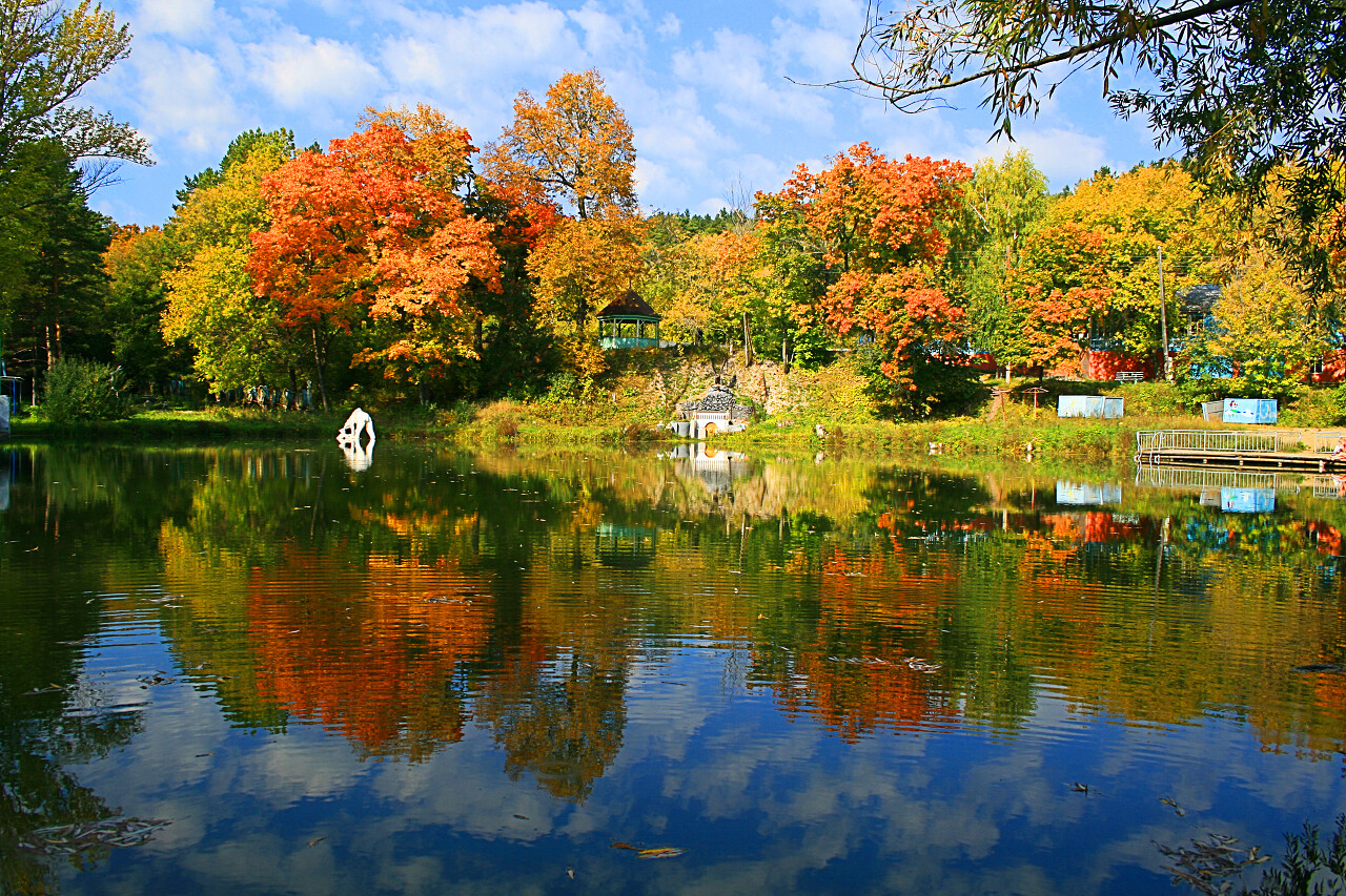 明亮秋季红叶枫叶枫叶林树林湖面水面园林