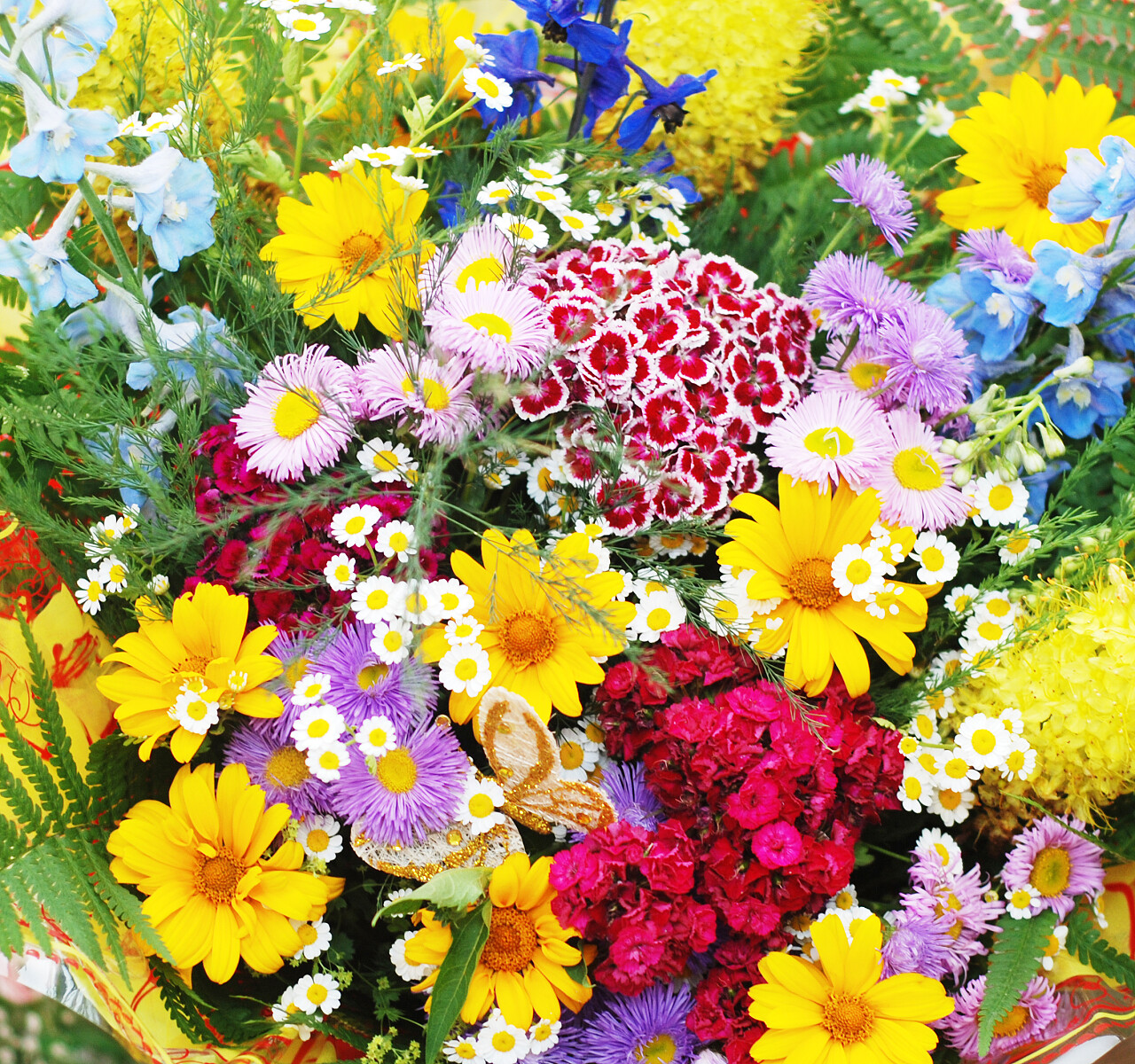 彩色花束五颜六色各种花背景图