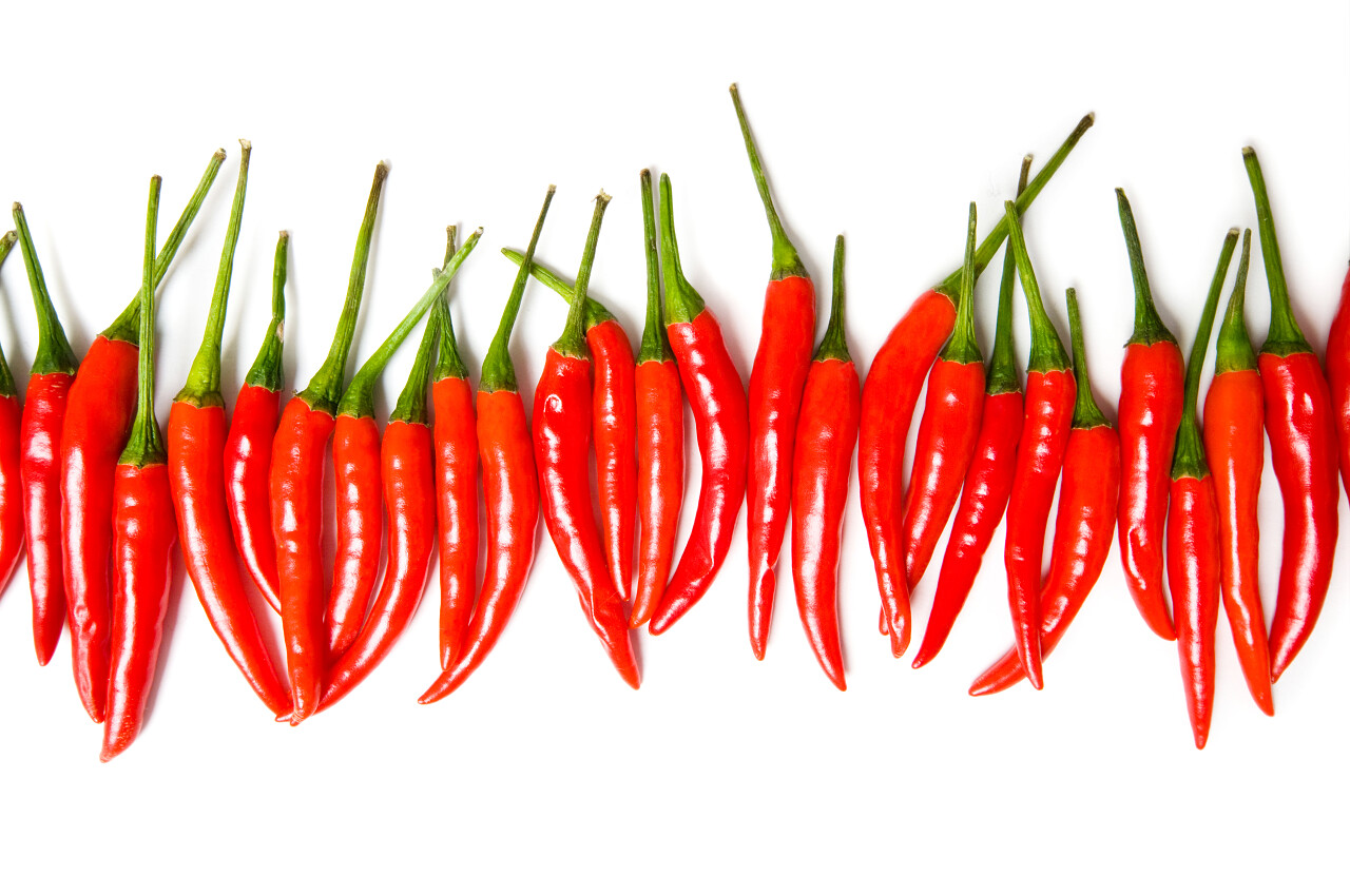 实拍实物在白色背景的的小米椒