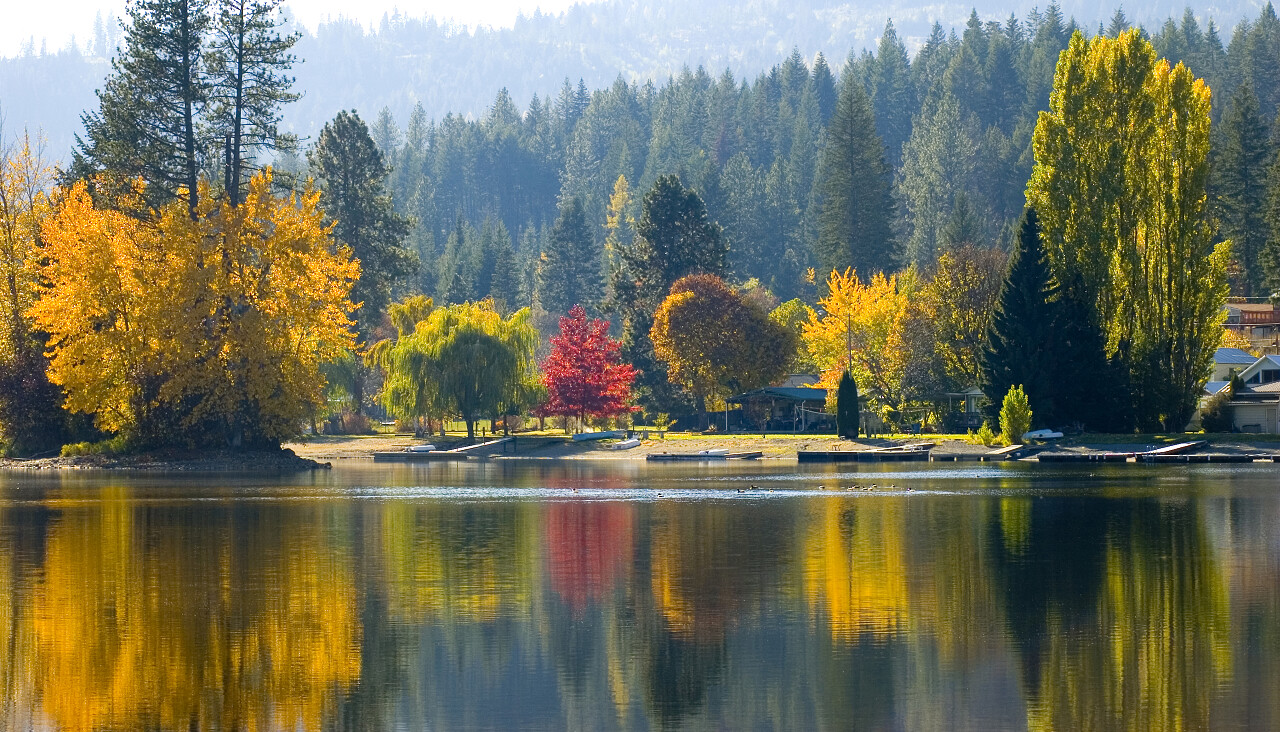 自然风景秋天多彩树林水中树林倒影风景图