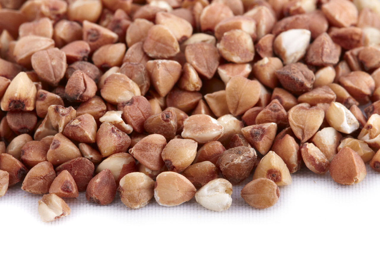 白底一堆荞麦种子