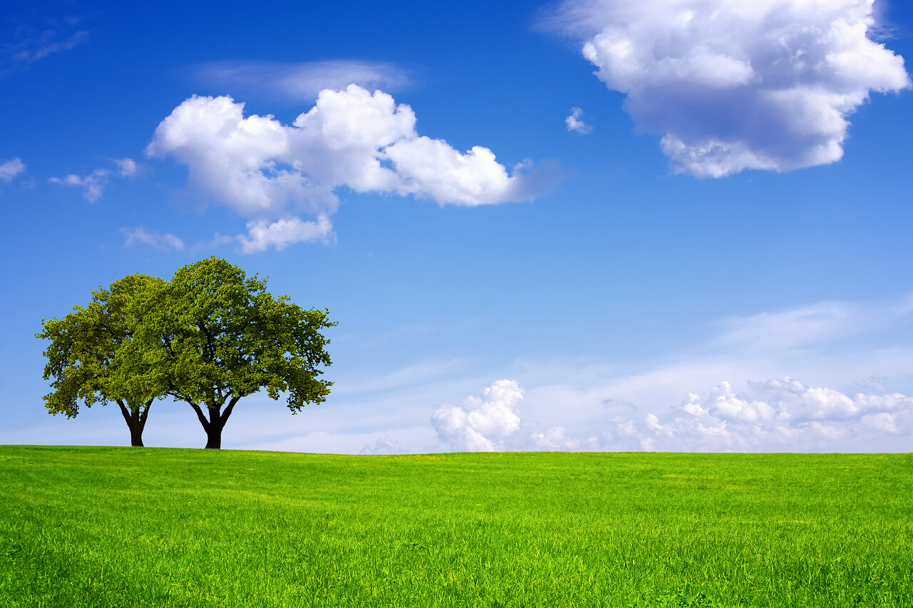 绿色草原草地草坪高尔夫球场蓝天白云