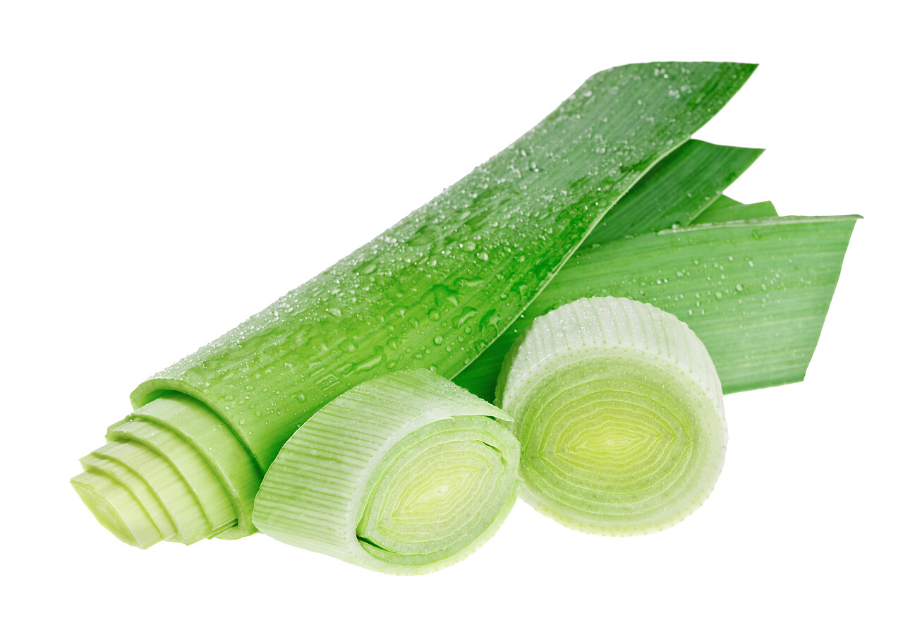 白底切开葱大葱葱花一截葱一段大葱蔬菜大葱