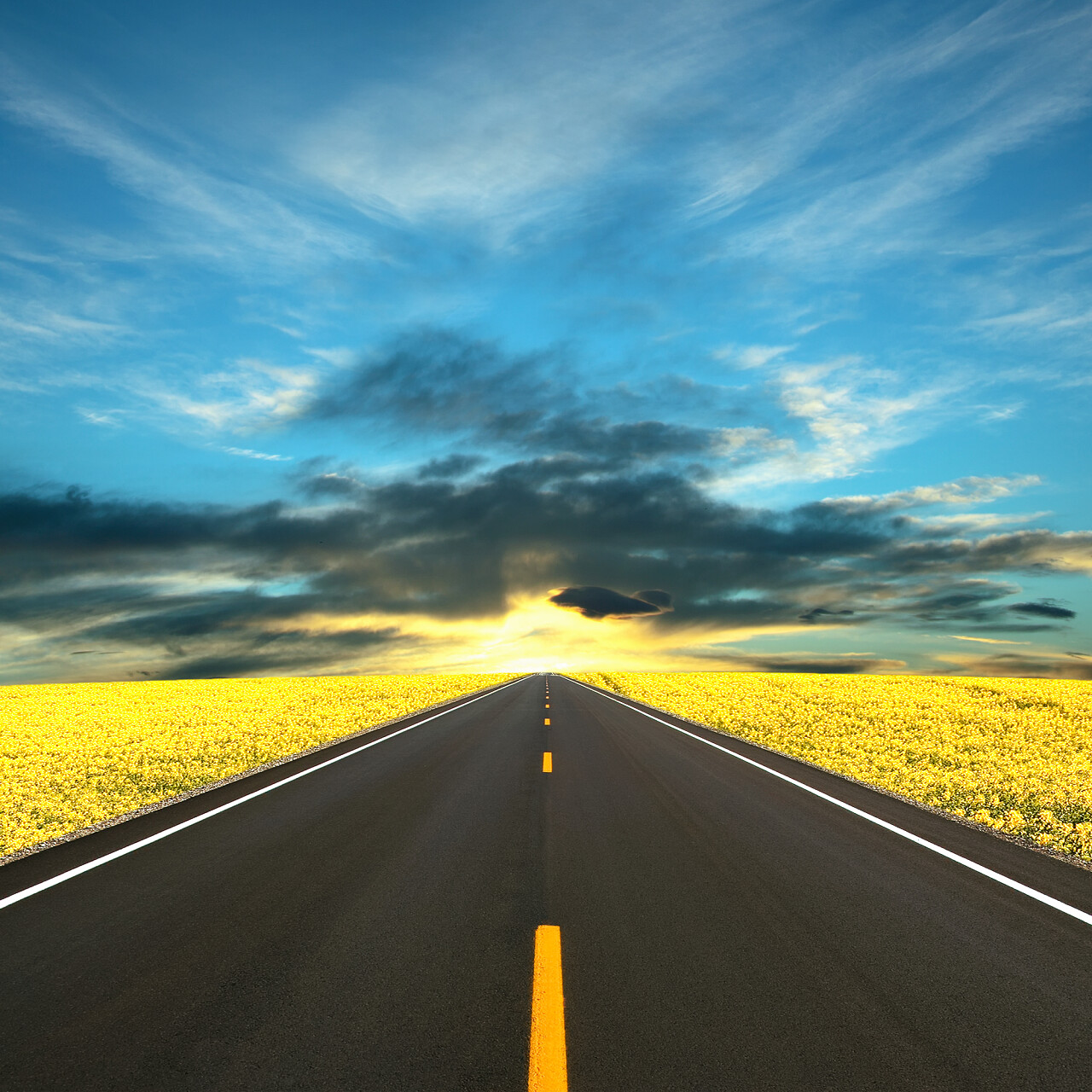 蓝天下一条公路通向远方油菜花笔直马路大路旅游公路