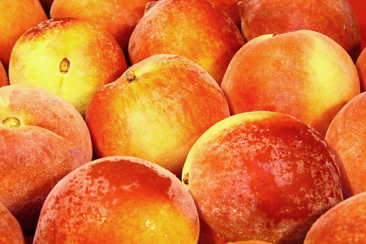 桃子背景新鲜桃子一堆桃子铺满桃子水果